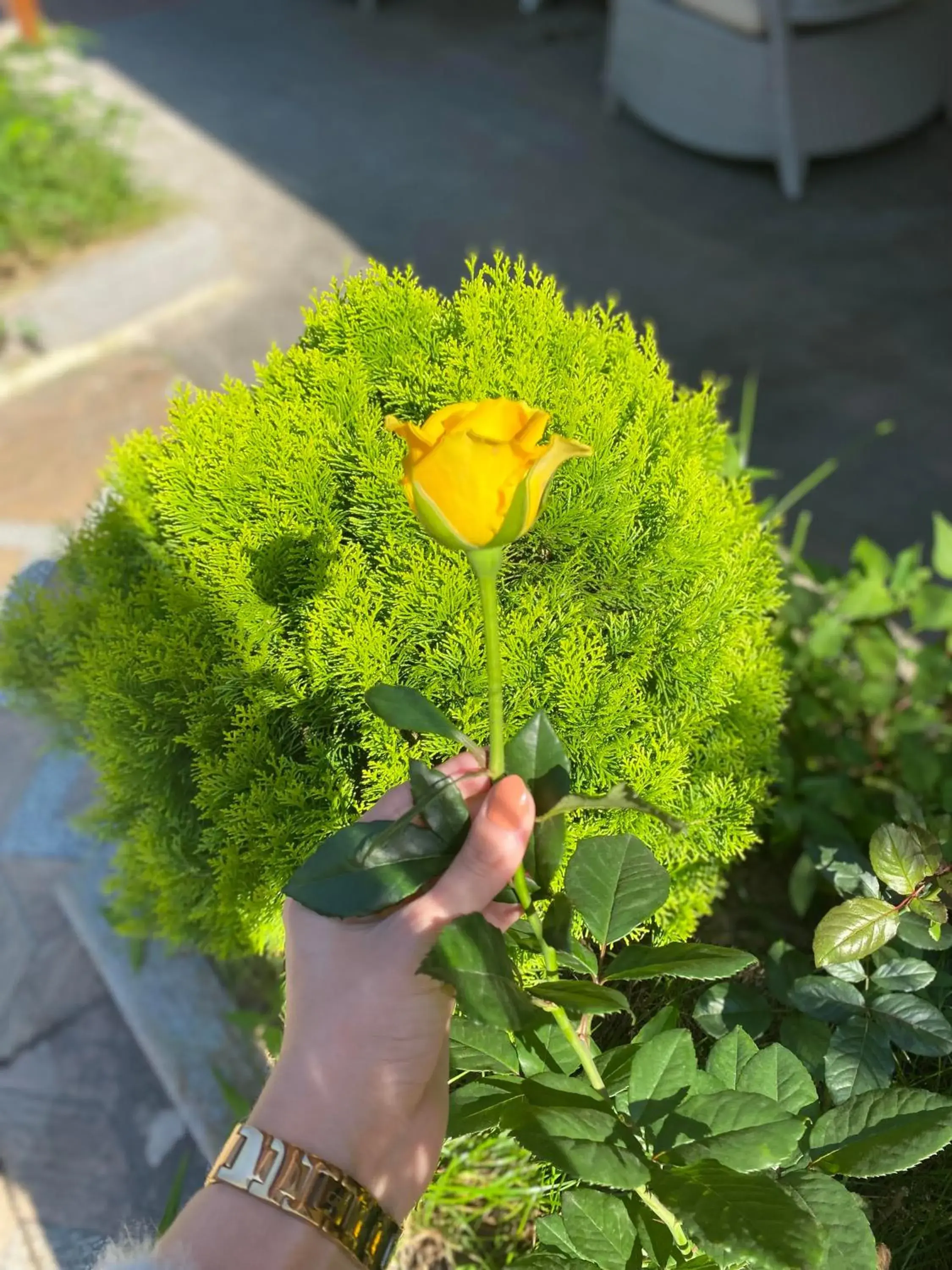 Property building in River Didi Otel Property building in River Didi Otel