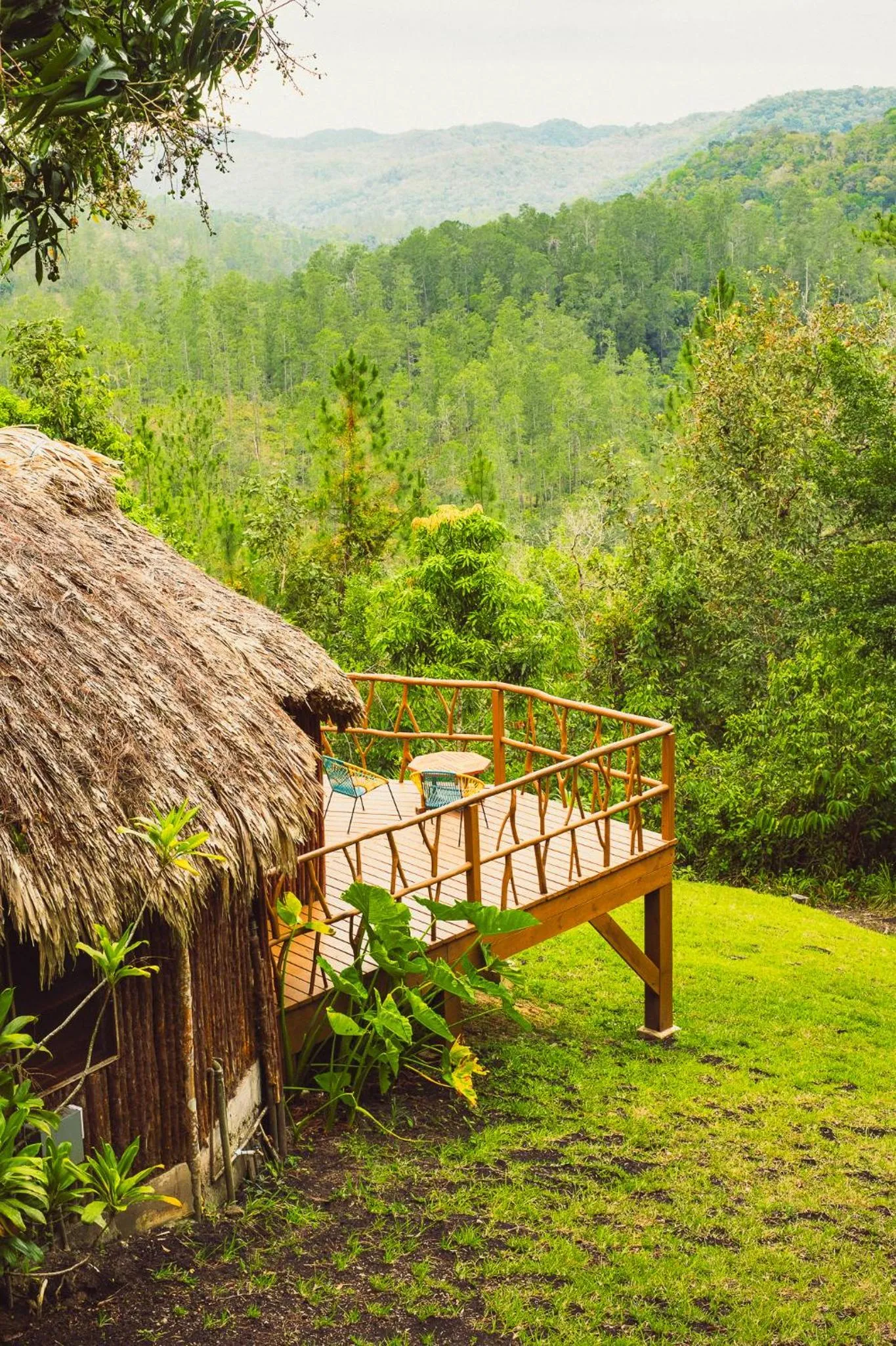 Natural landscape in Gaia Riverlodge