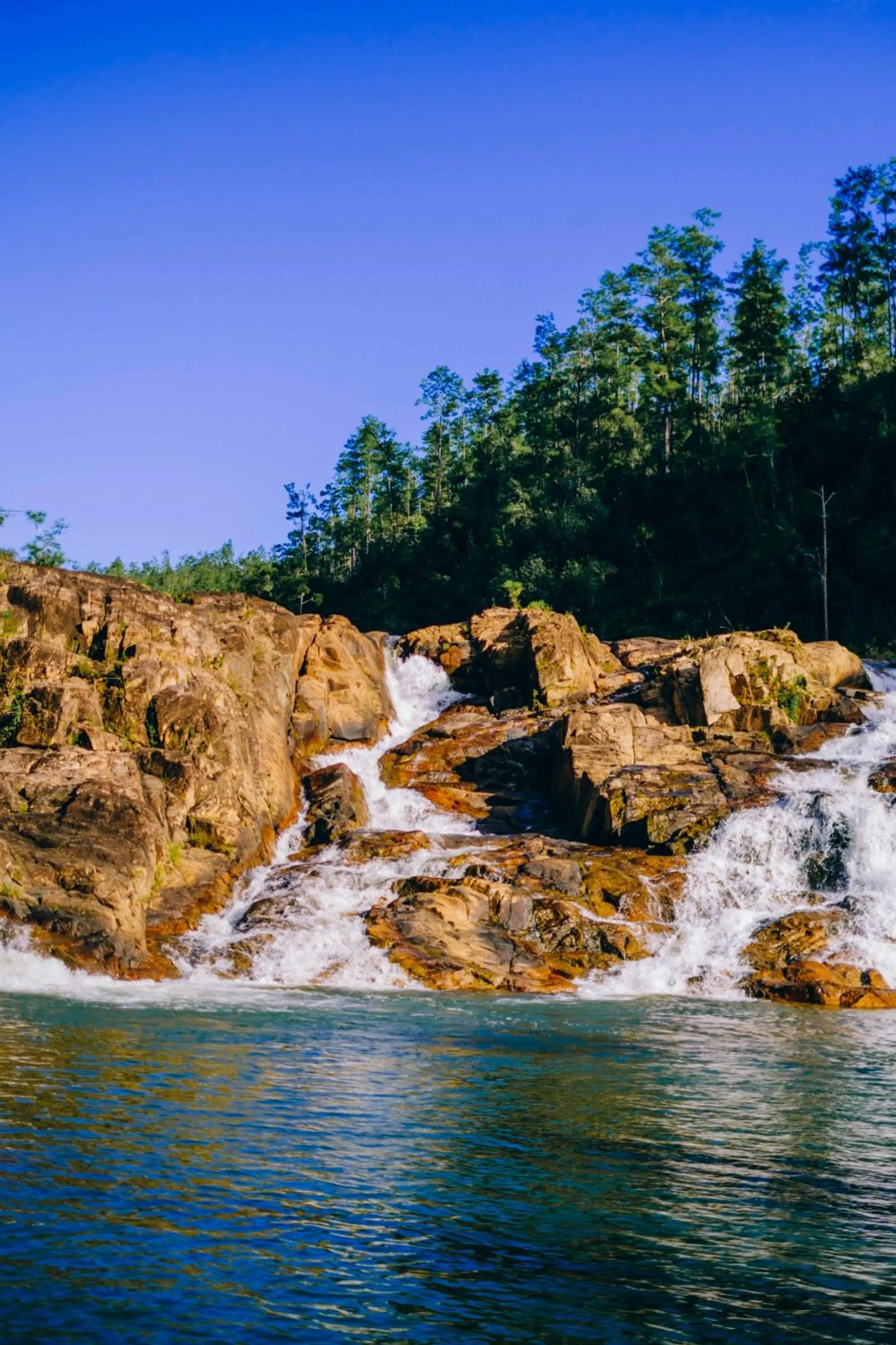 Natural landscape in Gaia Riverlodge