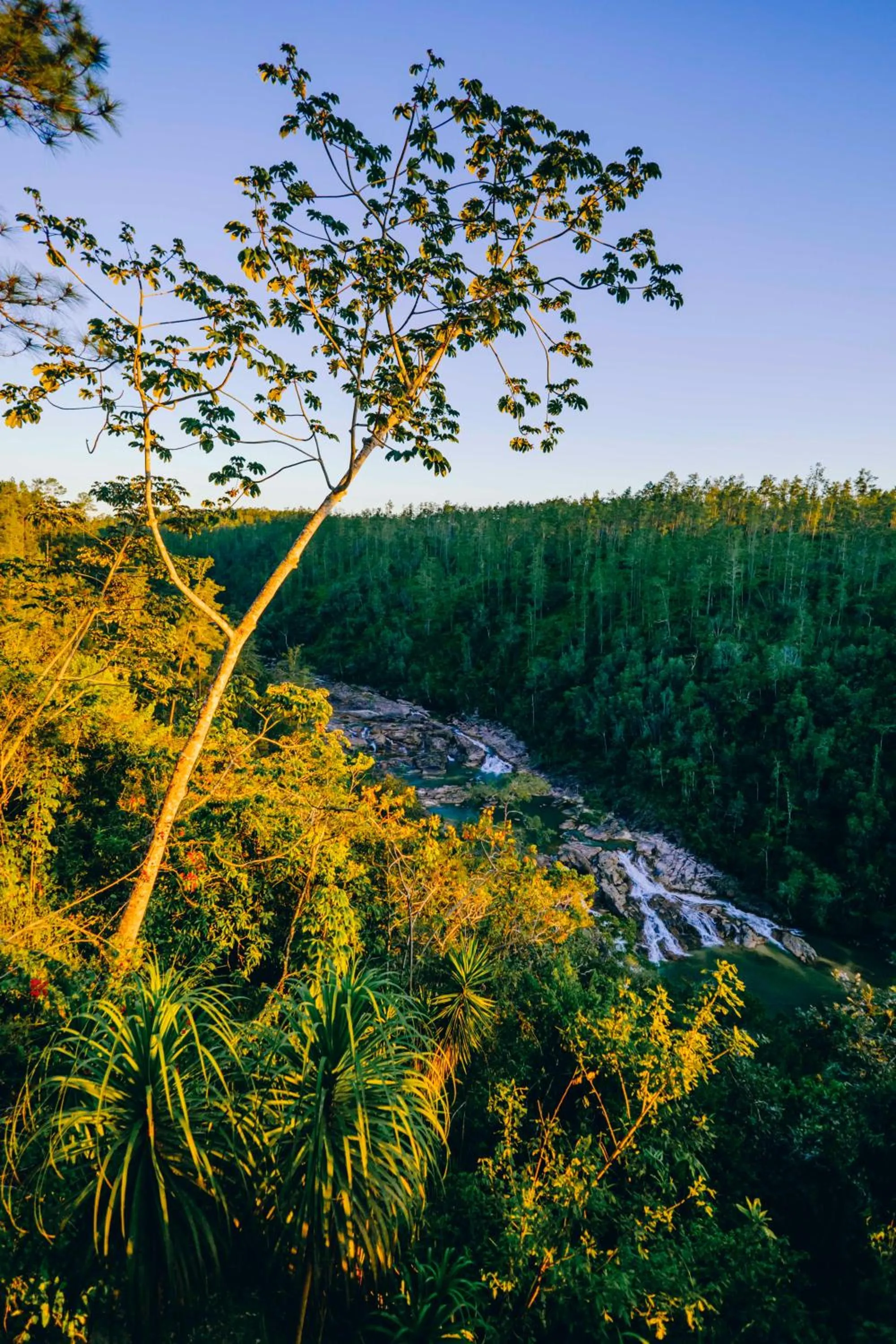 Natural landscape in Gaia Riverlodge