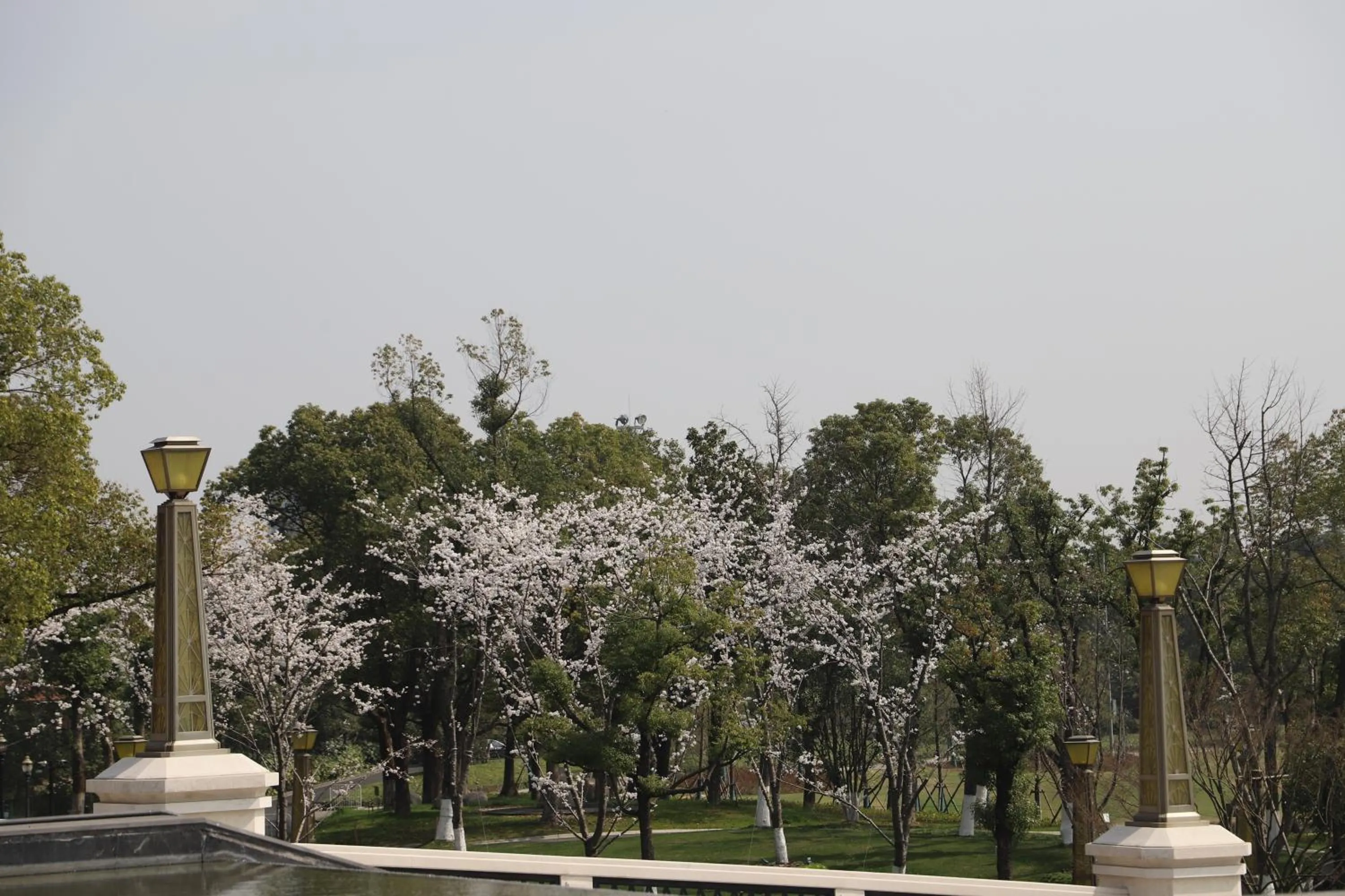Property building in Suning Zhongshan Golf Resort