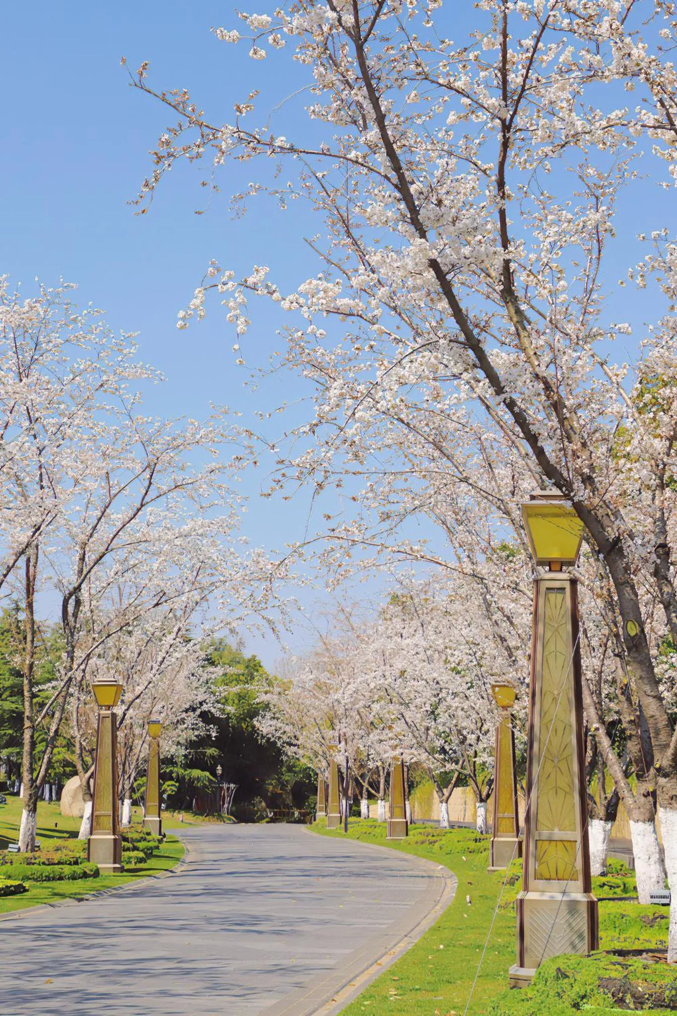 Spring in Suning Zhongshan Golf Resort