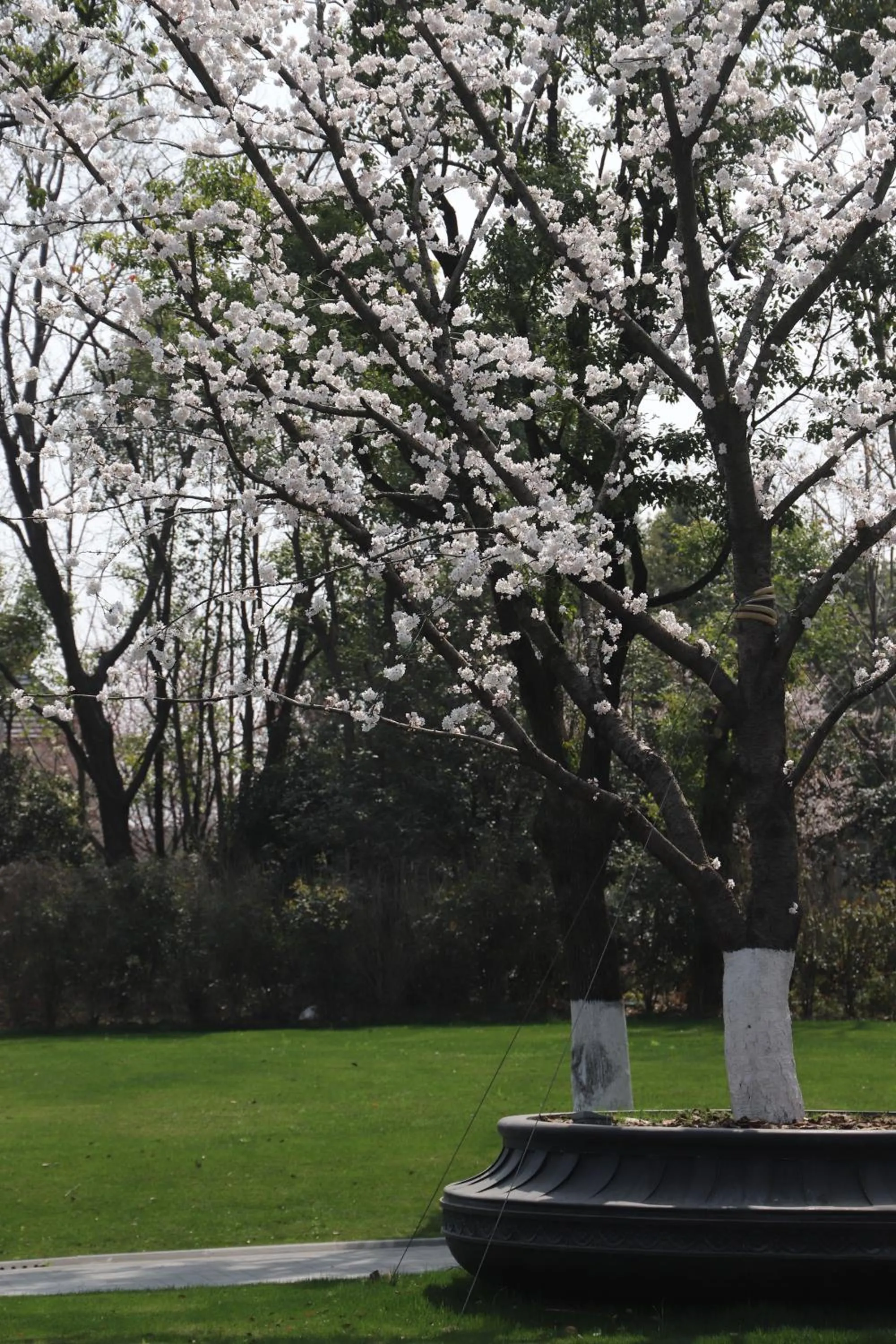 Property building in Suning Zhongshan Golf Resort