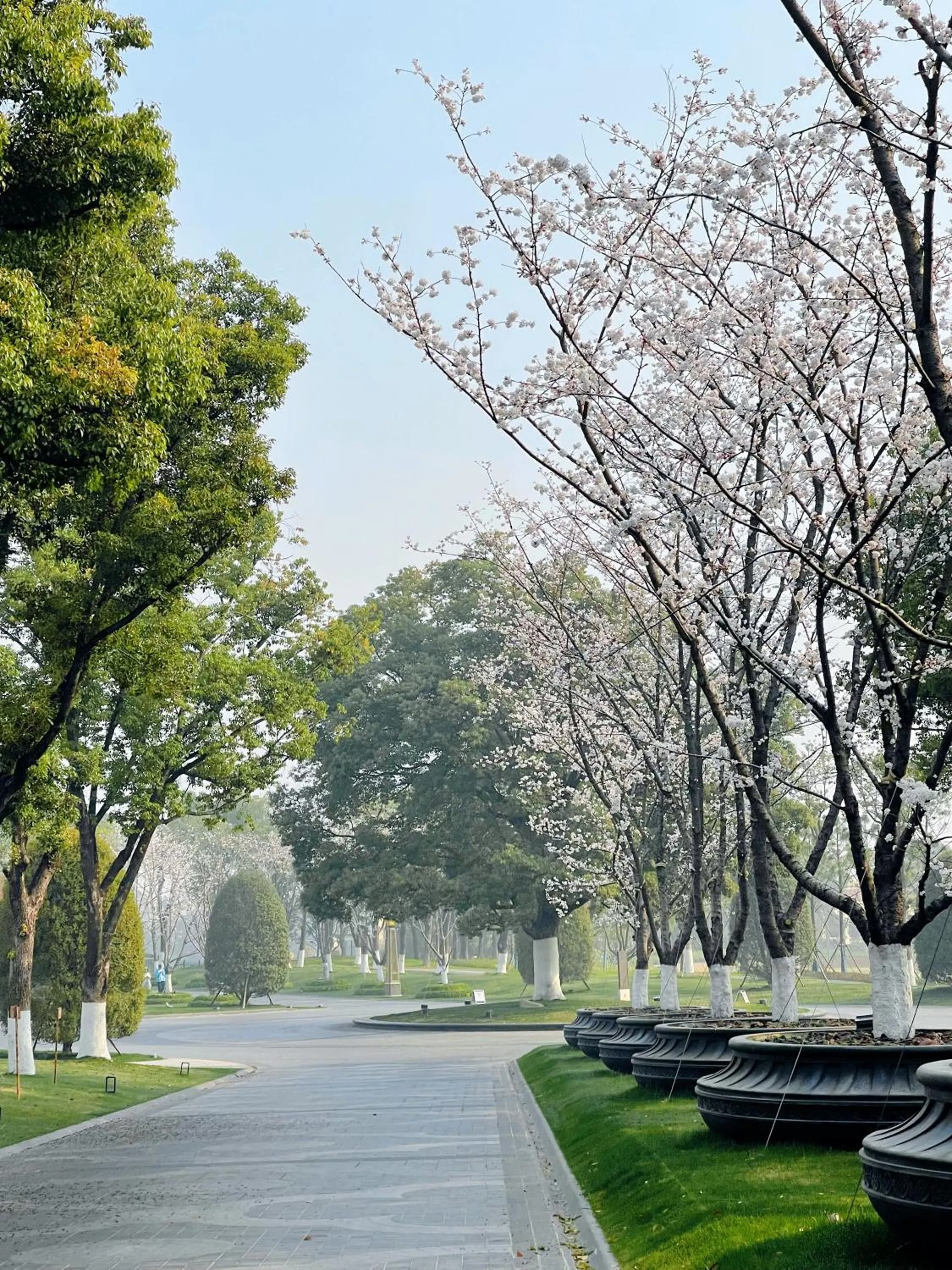 Property building in Suning Zhongshan Golf Resort
