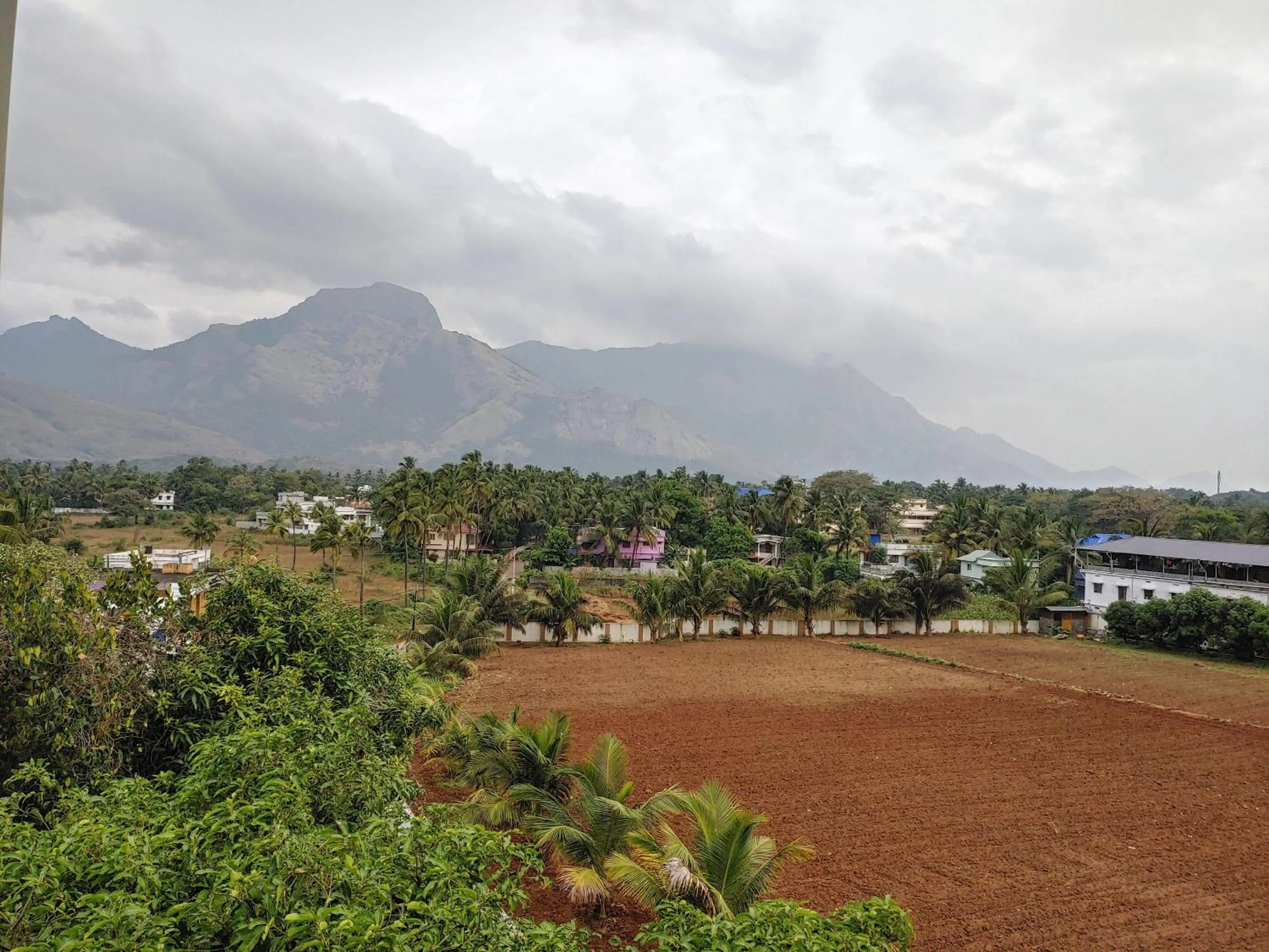 Day in The Grand Inn