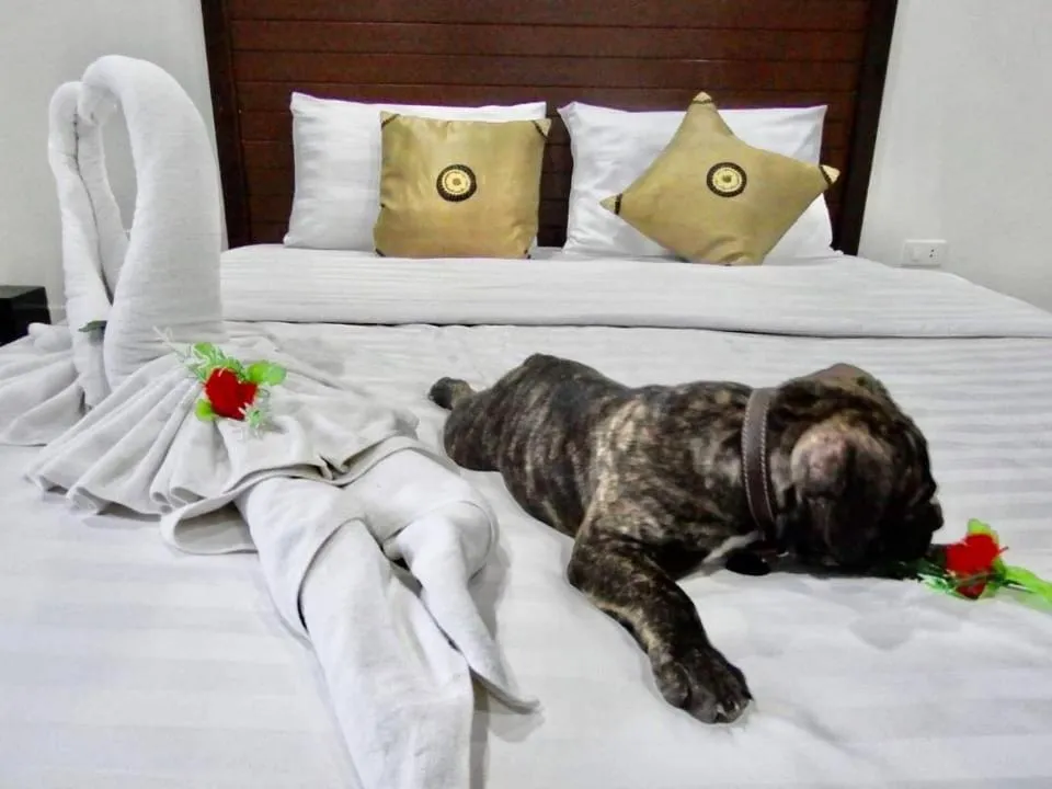 Bed in Vivi Boutique Room Hotel SHA Plus