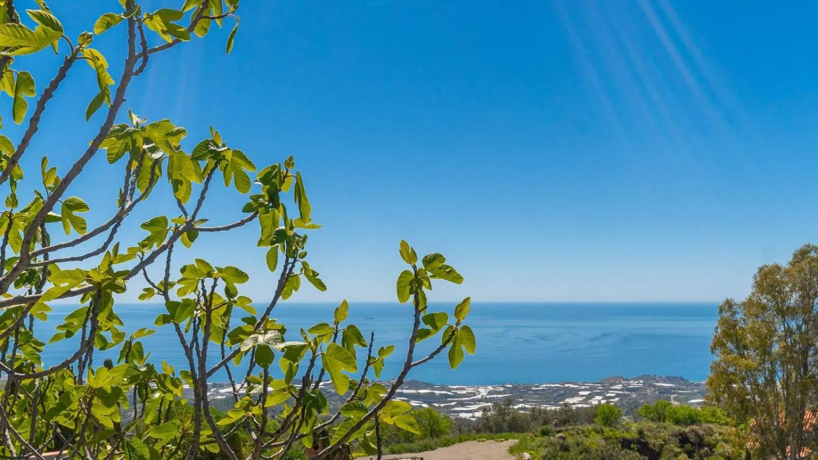 Sea view in Casa del Alize Sayalonga by Ruralidays