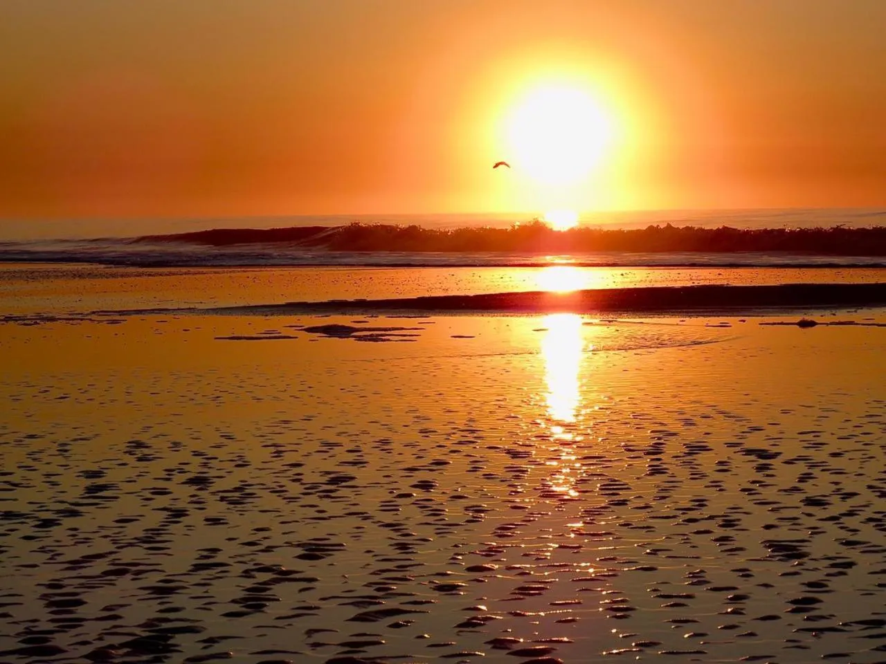 Maitenas Pinamar
