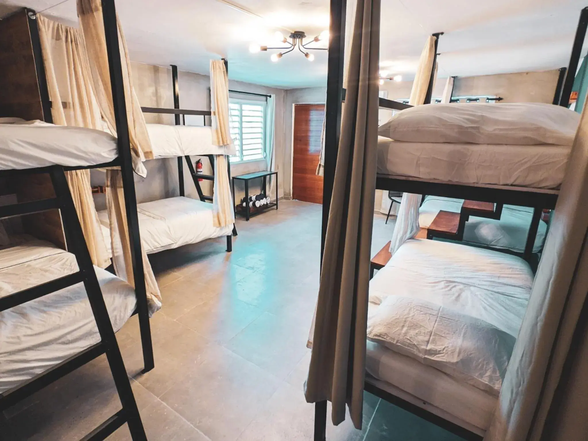 8-Bed Mixed Dormitory Room in The Surfing Turtle 8-Bed Mixed Dormitory Room in The Surfing Turtle