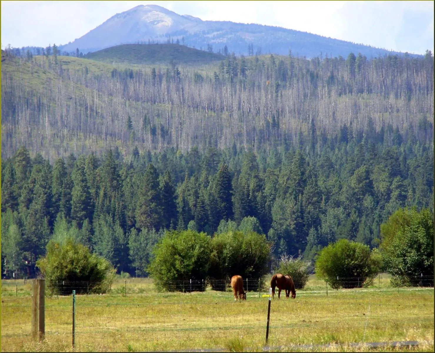 Jacobs Ladder - Black Butte Ranch