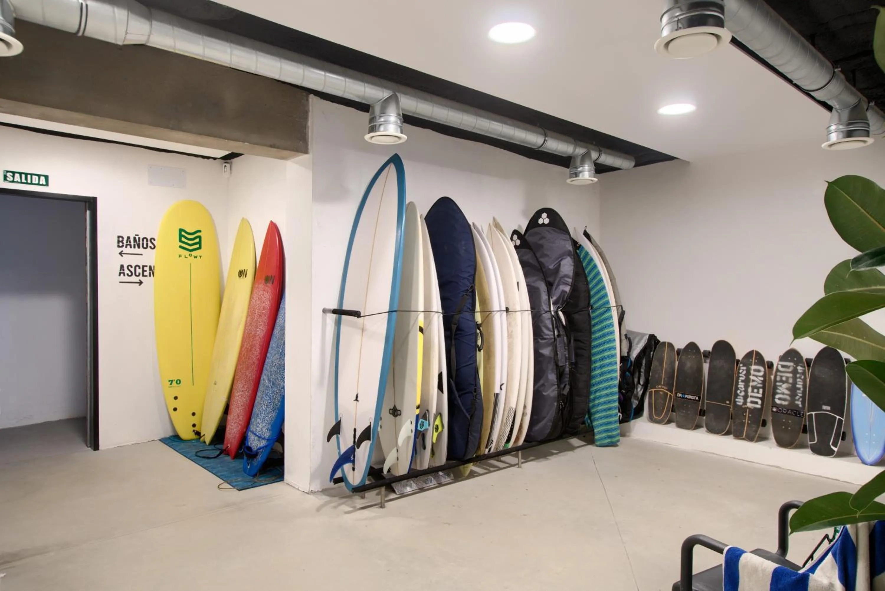 Windsurfing in AFTER Hotel