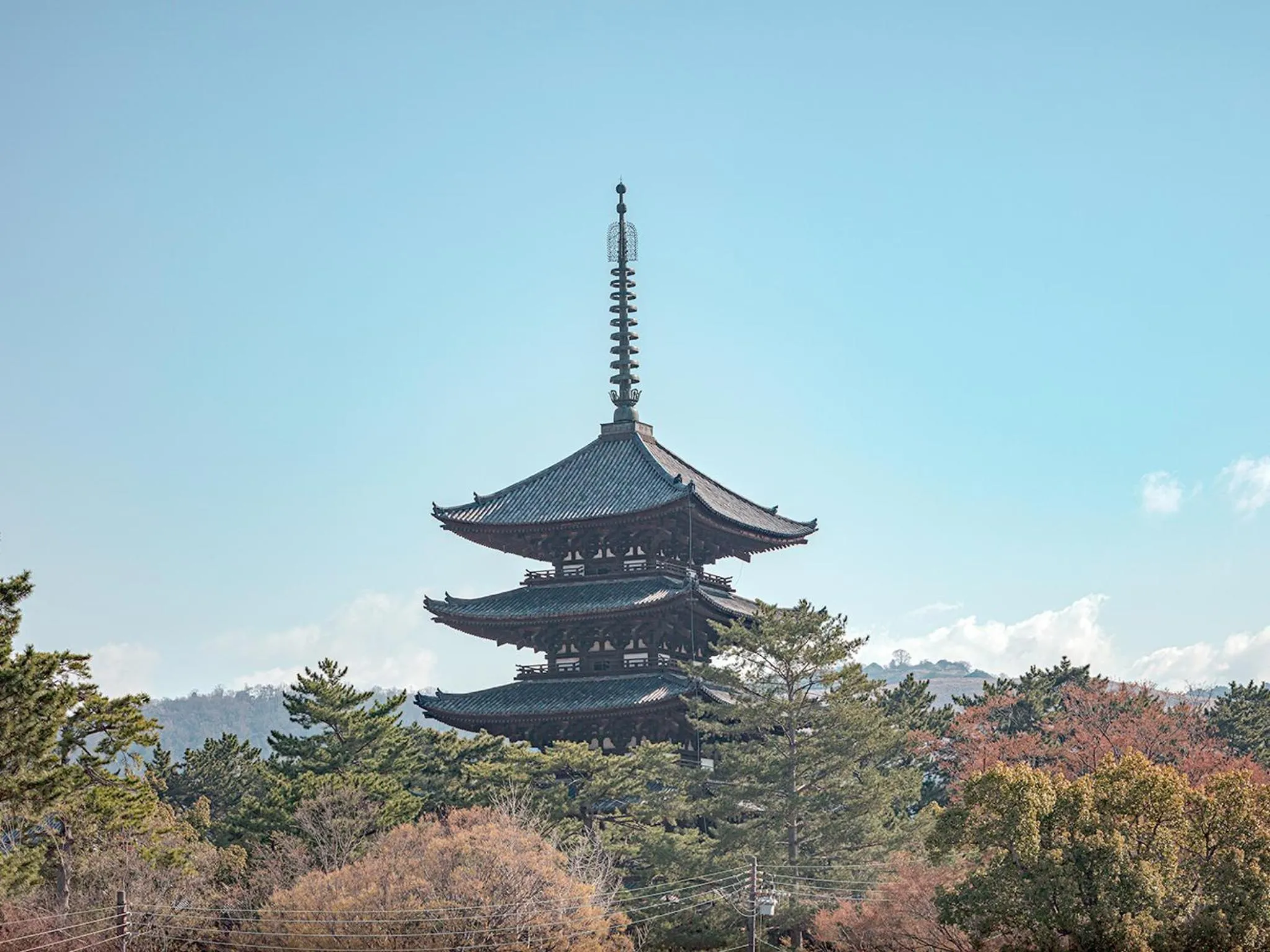 Nearby landmark in Hotel Tenpyo Naramachi