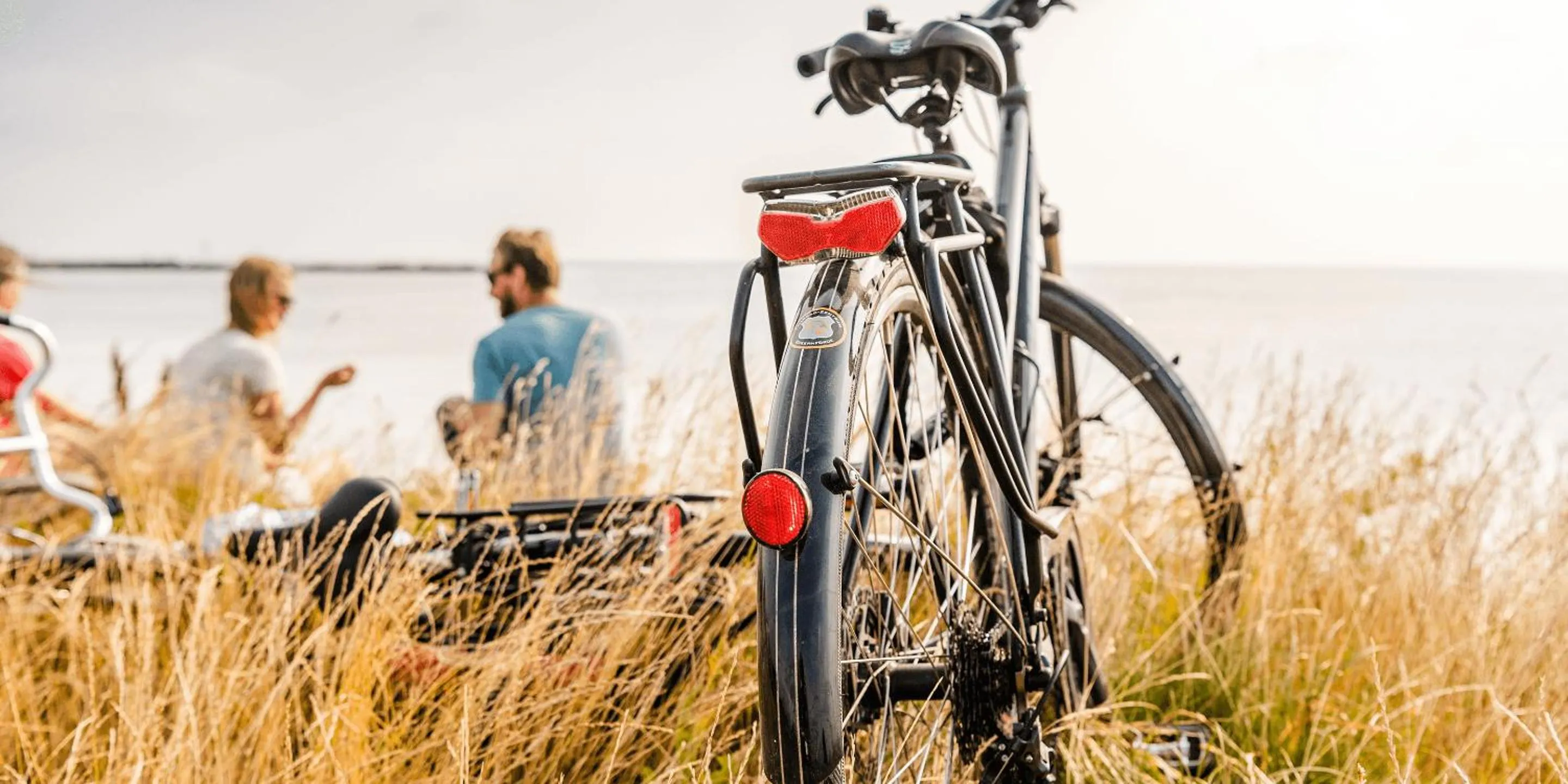 Natural landscape in Ostseehotel Midgard in Damp