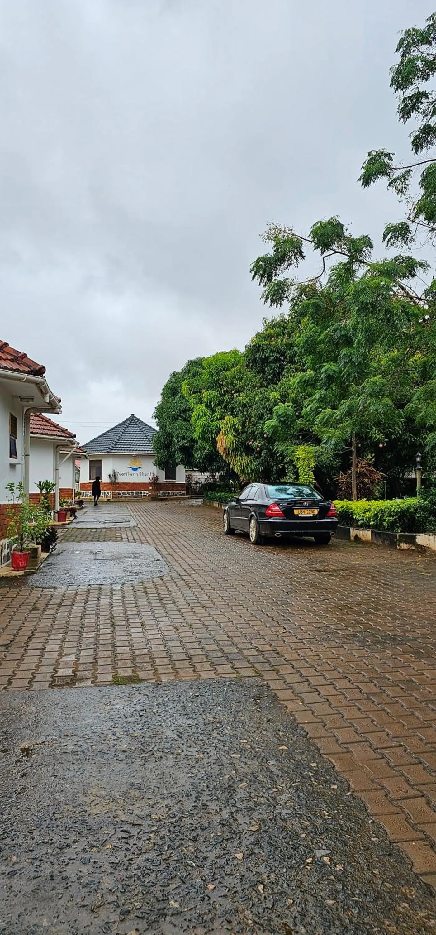 Property building in Northern Pearl