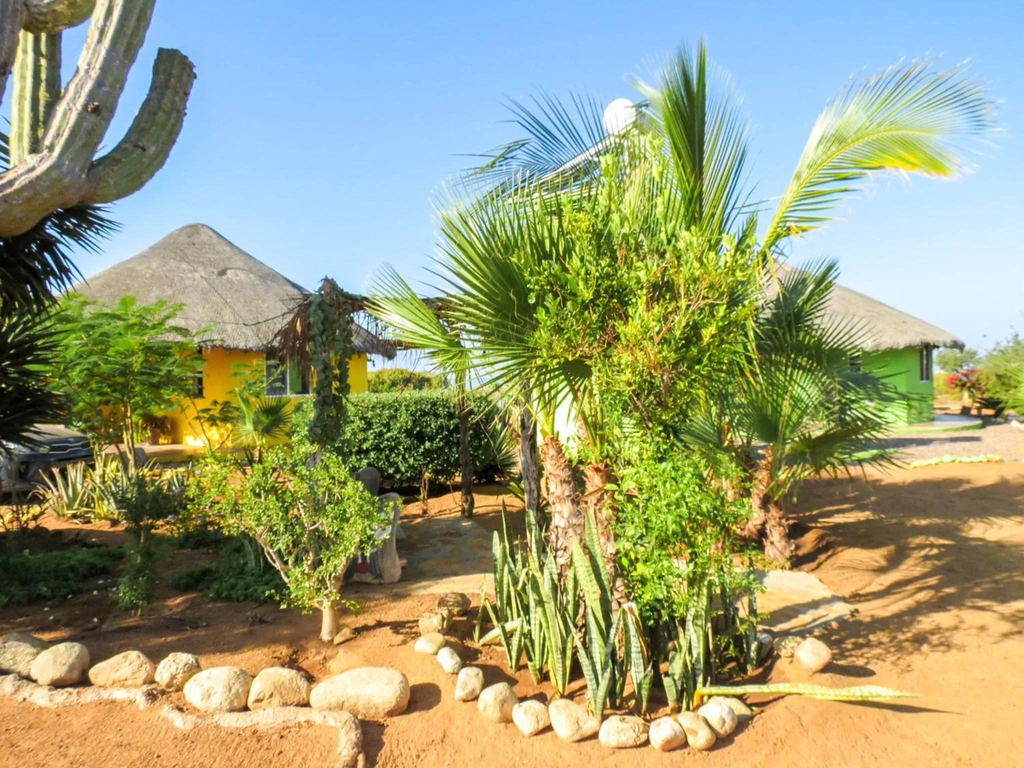 Garden in Casitas El Salitral