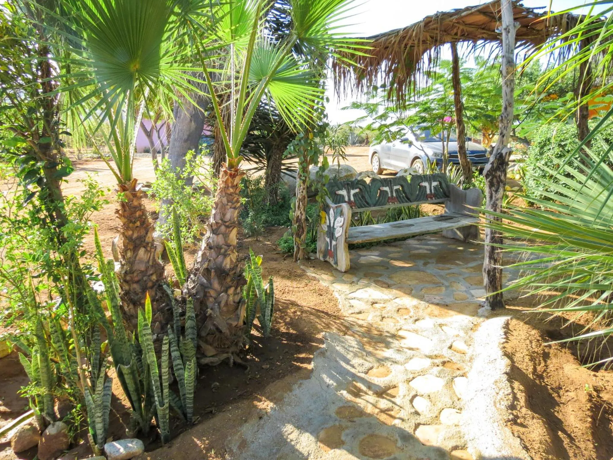 Garden in Casitas El Salitral