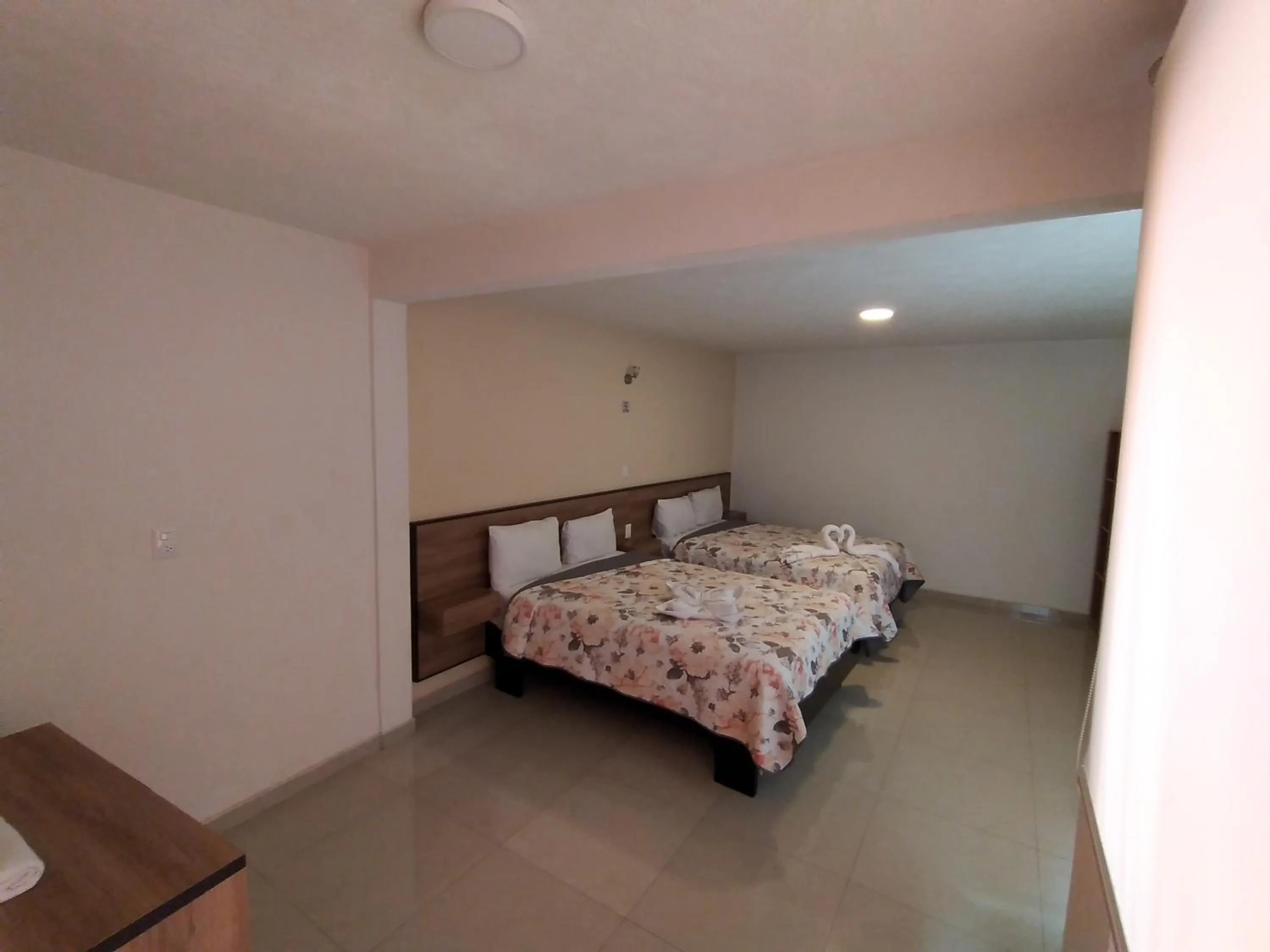 Photo of the whole room in HOTEL SAN JOSE