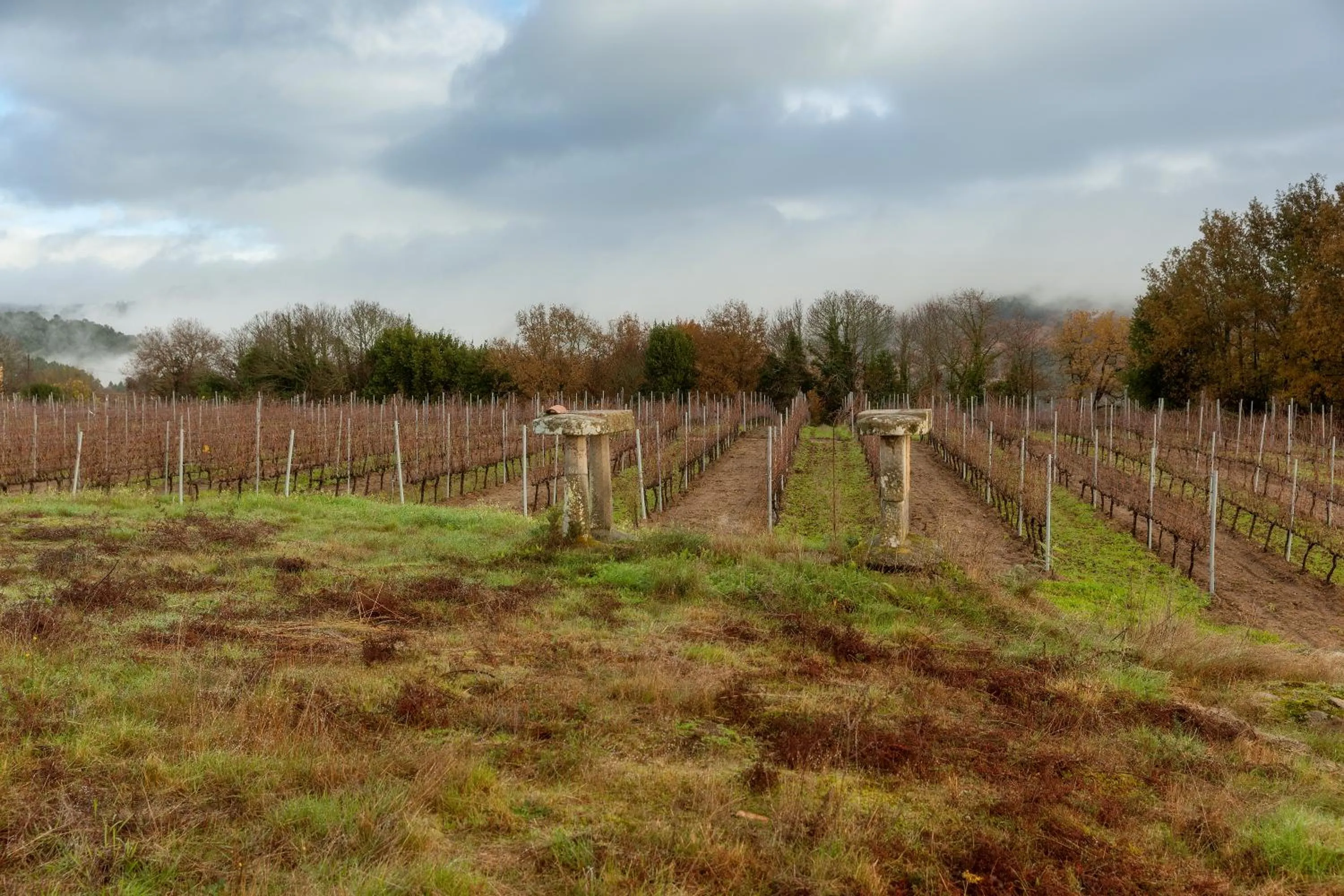 Natural landscape in CASA RECTORAL DE SAN EUSEBIO