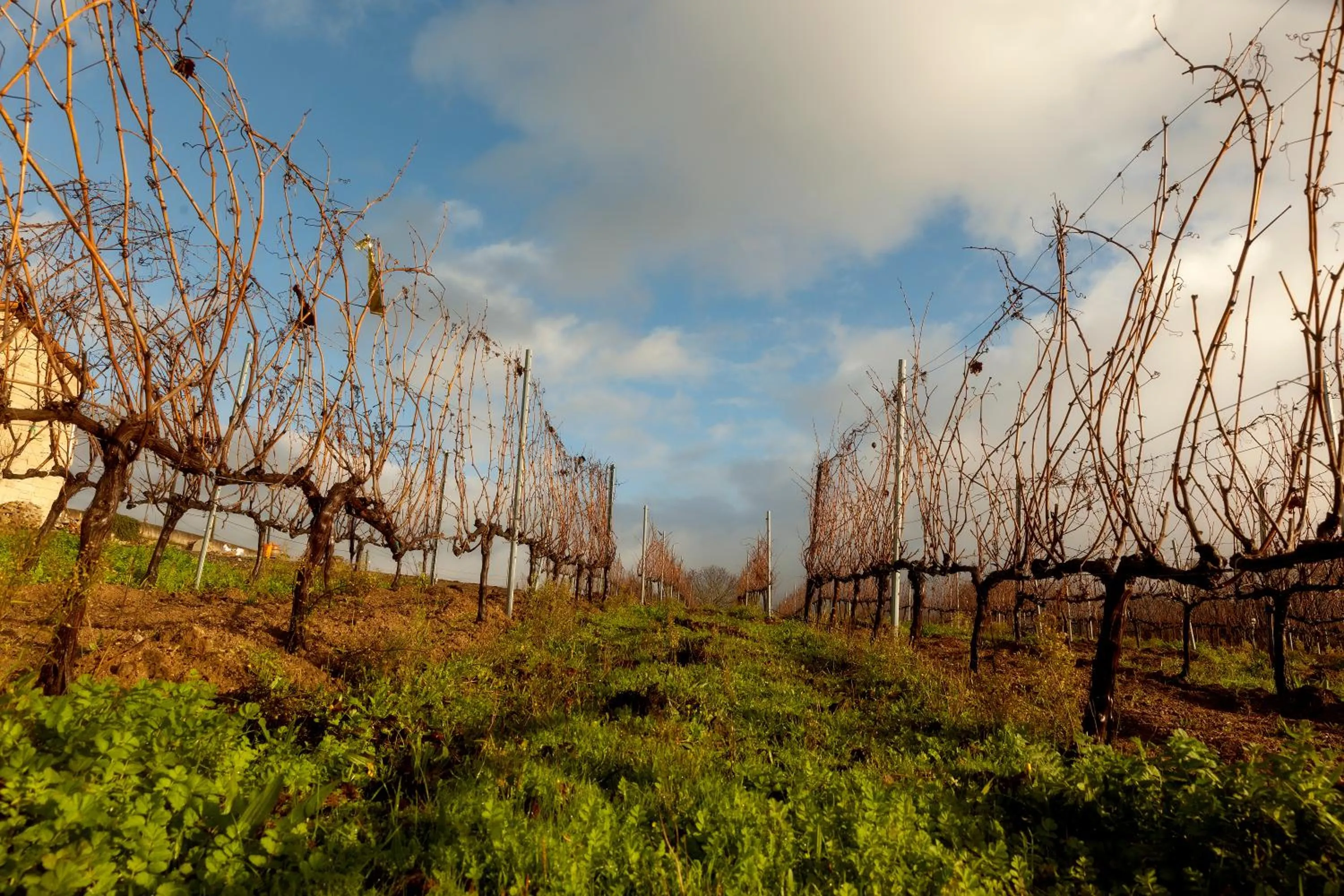 On site in CASA RECTORAL DE SAN EUSEBIO