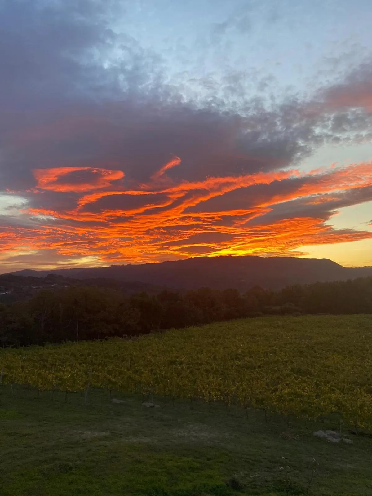 Natural landscape in CASA RECTORAL DE SAN EUSEBIO