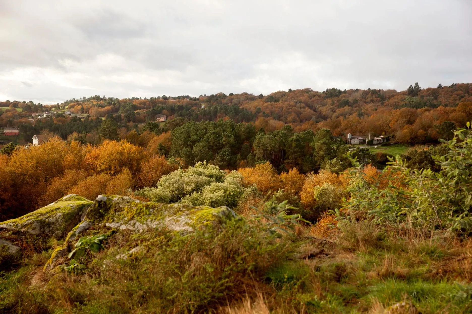 Off site in CASA RECTORAL DE SAN EUSEBIO