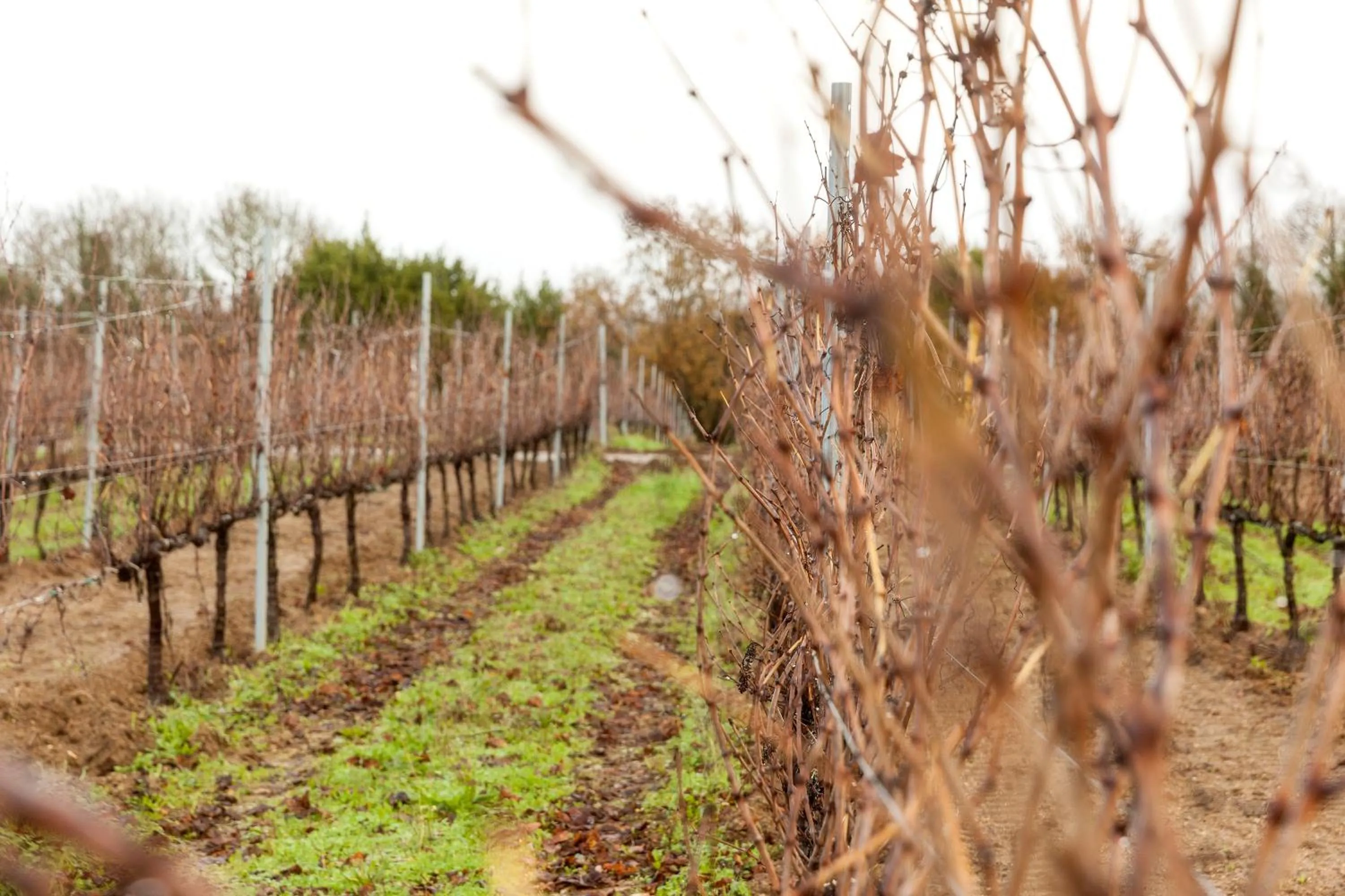 Natural landscape in CASA RECTORAL DE SAN EUSEBIO