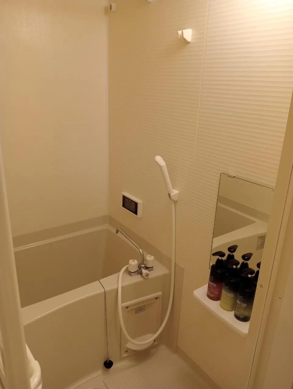 HIZ HOTEL Gion-Shirakawa