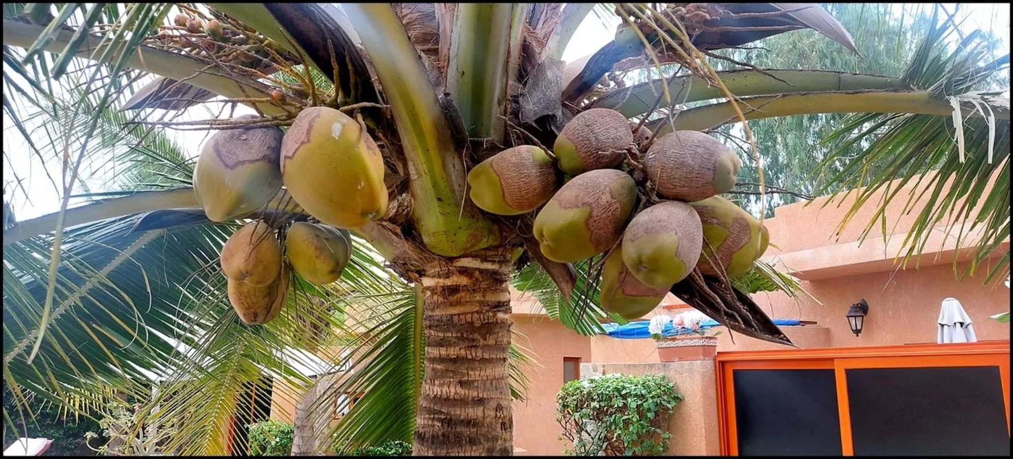 Garden in Hôtel La Belle Etoile & SPA