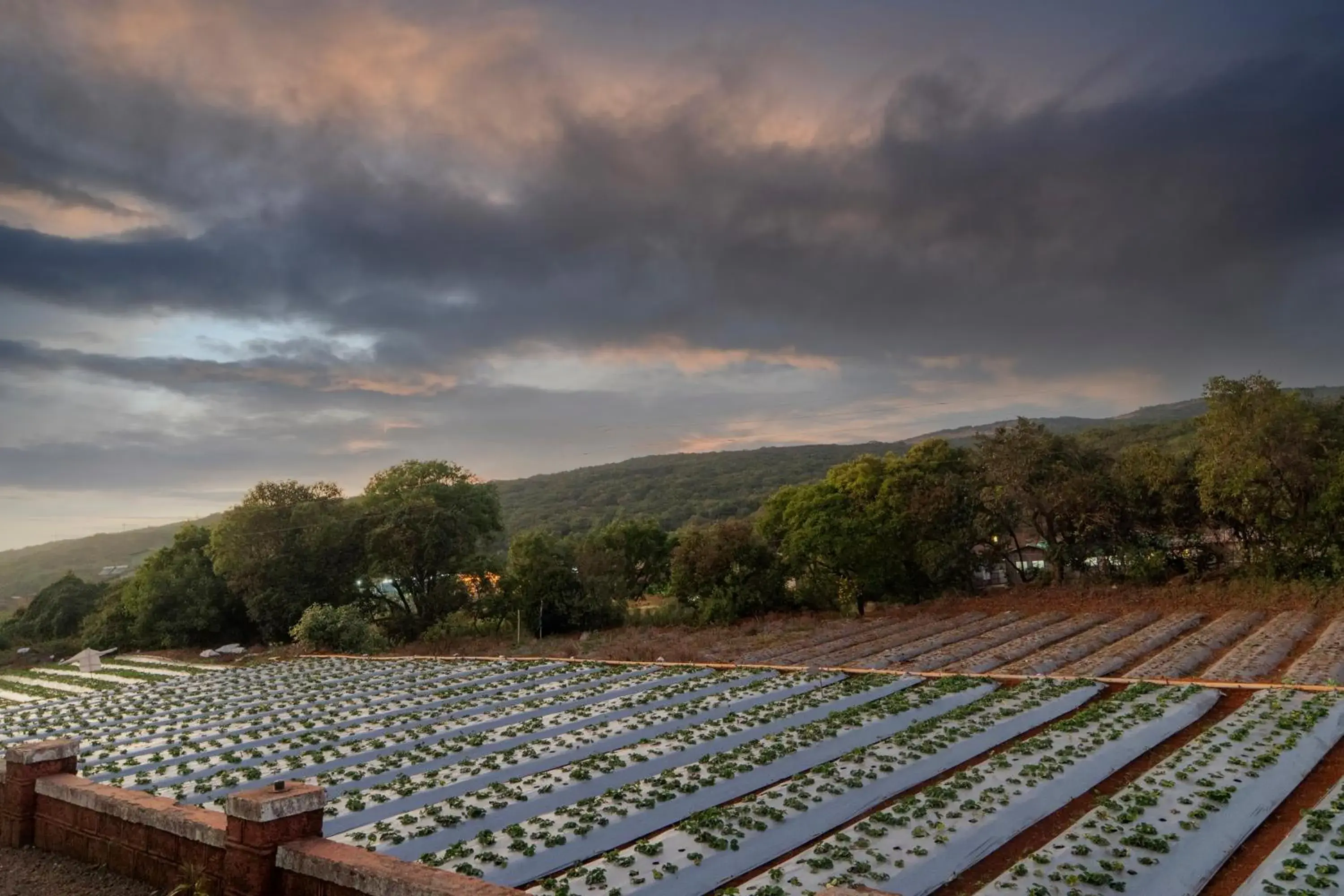 Restaurant/places to eat in Treebo The Venna Hill Restaurant/places to eat in Treebo The Venna Hill