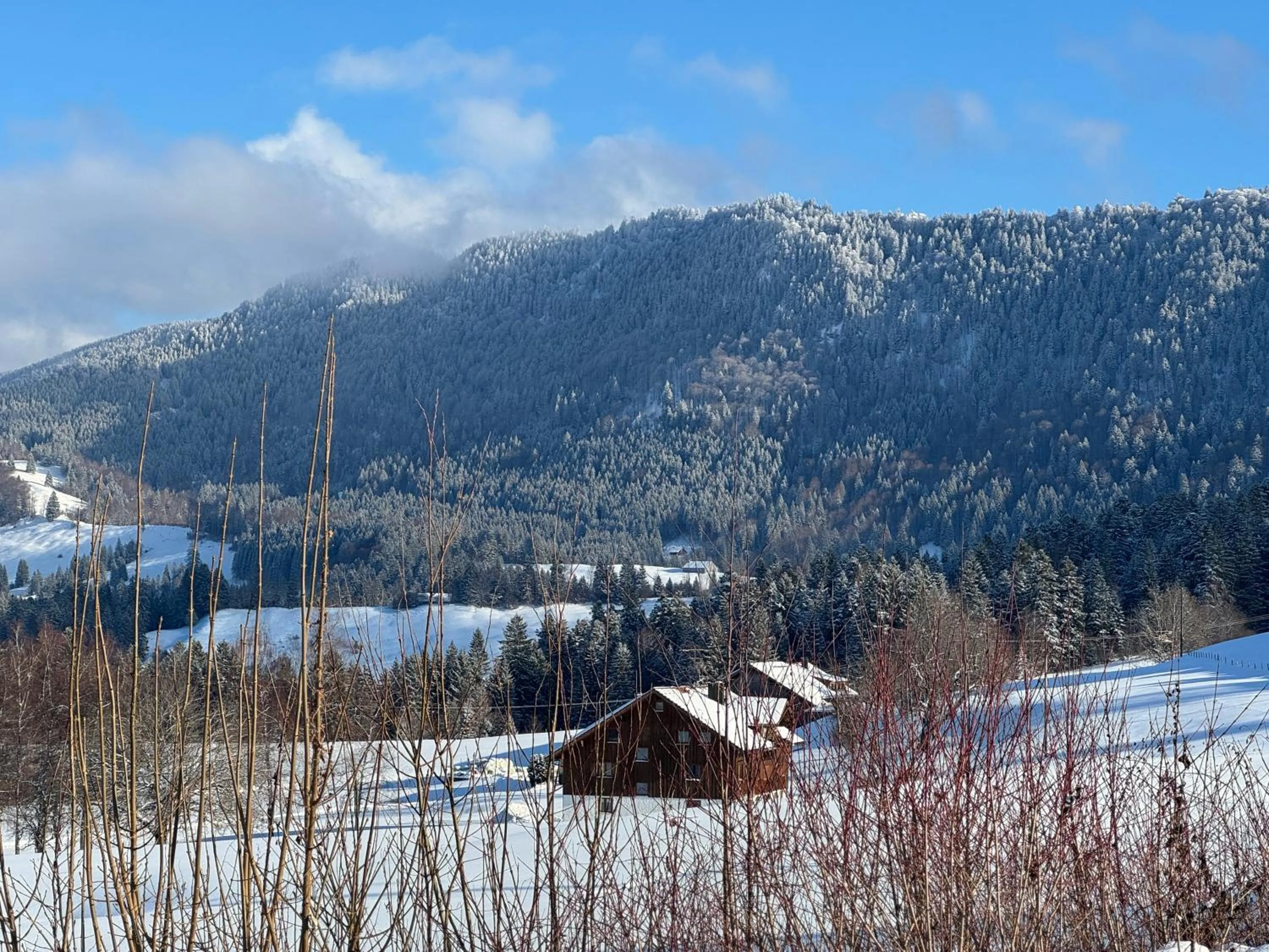 Garden view in Alpin & Wellness Resort Ludwig Royal