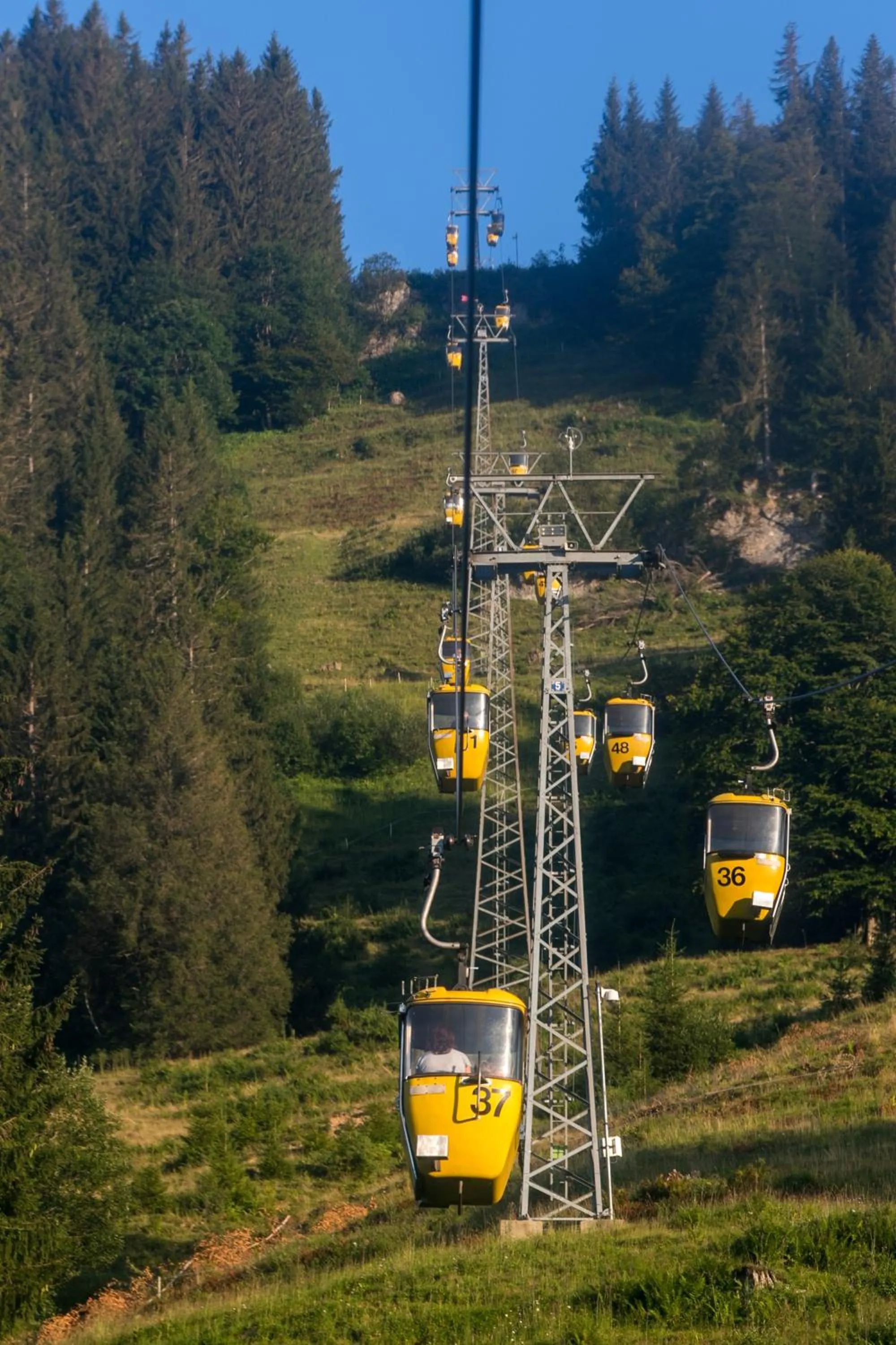 Hiking in Alpin & Wellness Resort Ludwig Royal