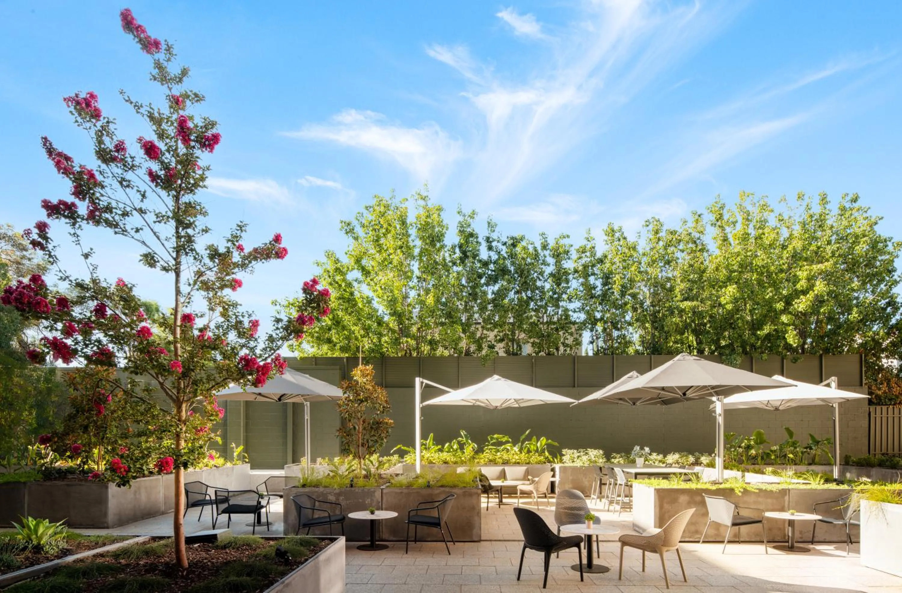 Patio in Majestic M Suites