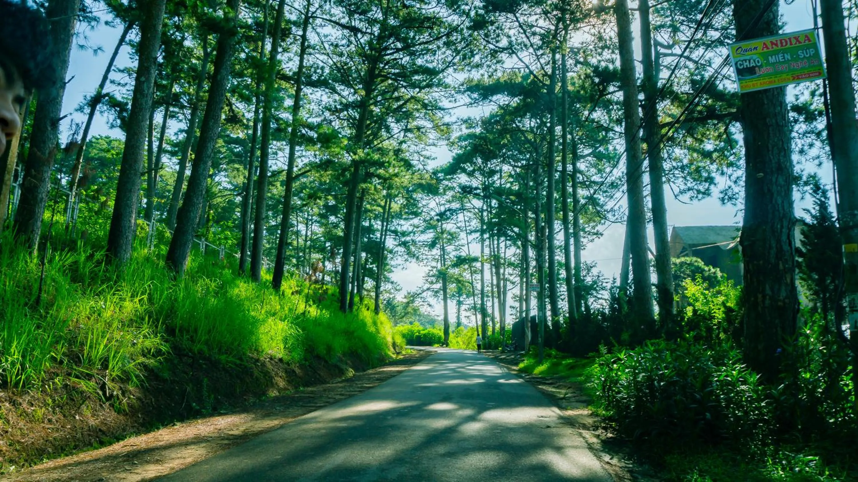 Natural landscape in RANG DONG VILLAS