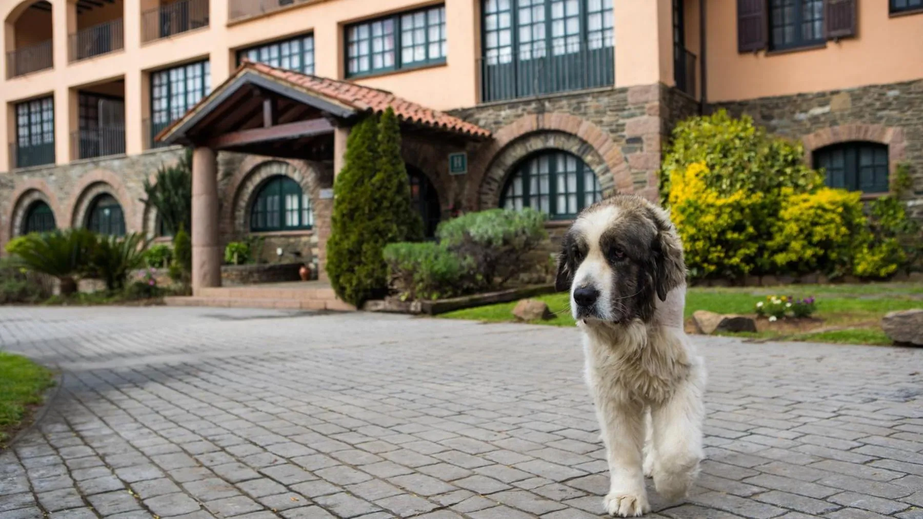 Pets in Hotel Sant Bernat