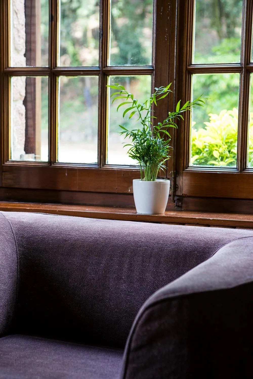 Living room in Hotel Sant Bernat