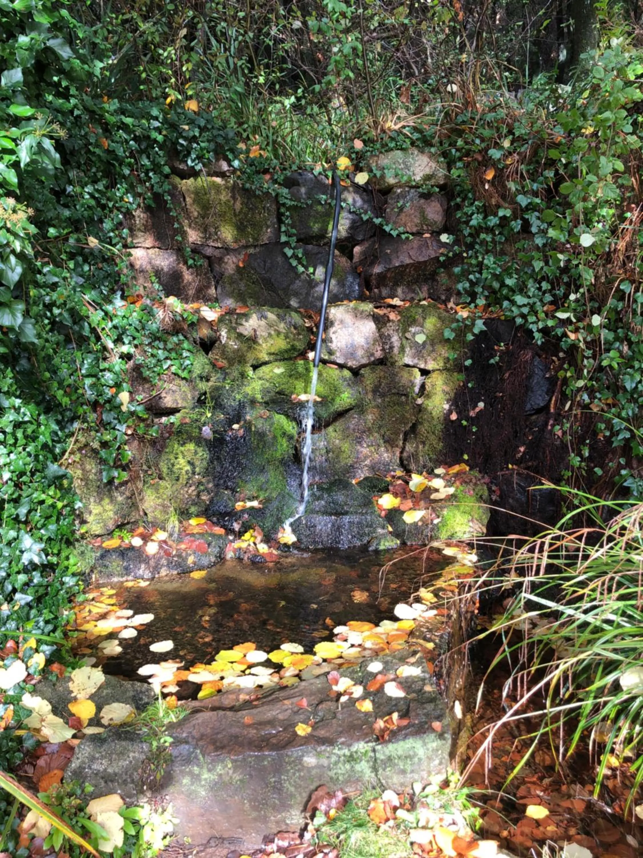 Property building in Hotel Sant Bernat