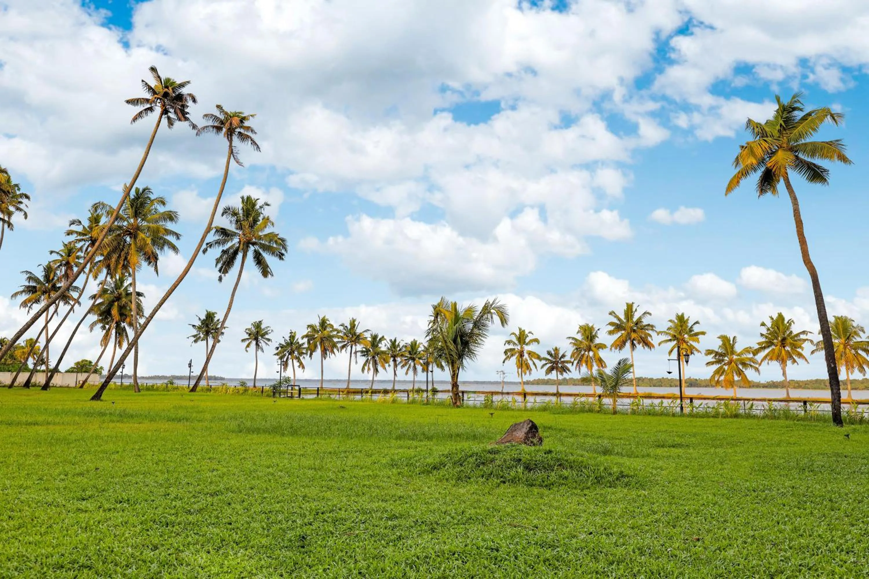 Garden in Club Mahindra Arookutty, Alleppey
