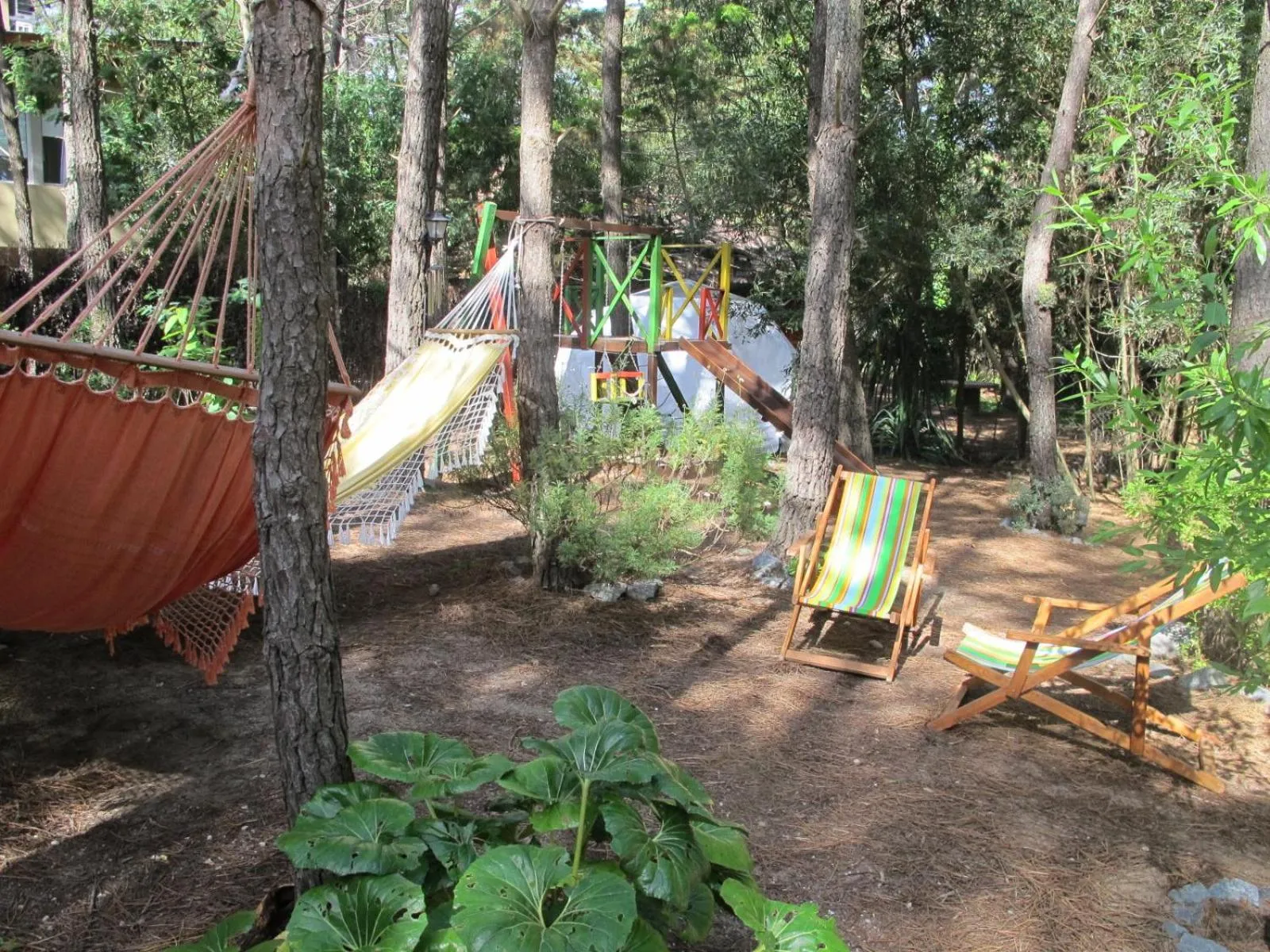 Garden in Rincón de los Vientos