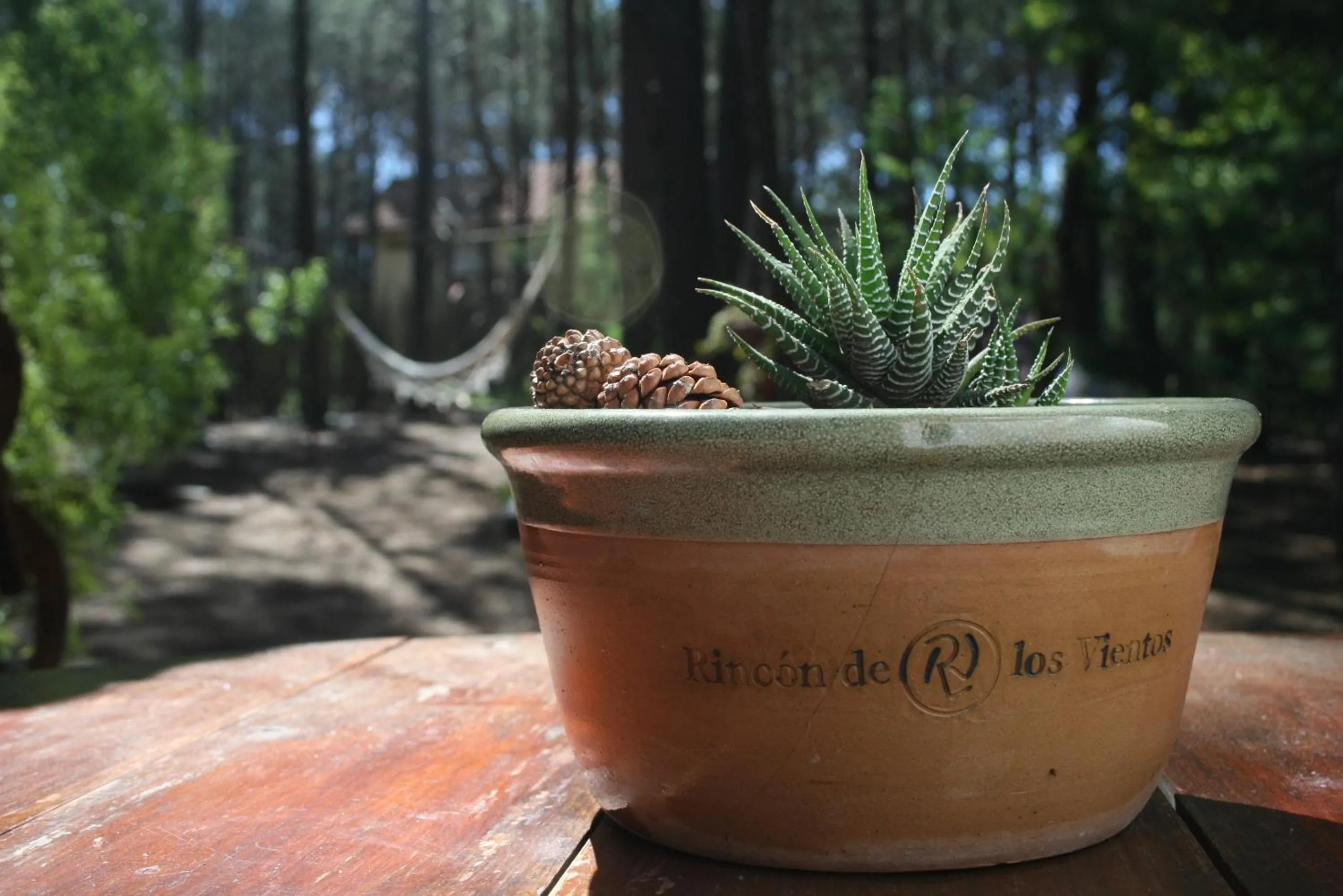 Garden in Rincón de los Vientos
