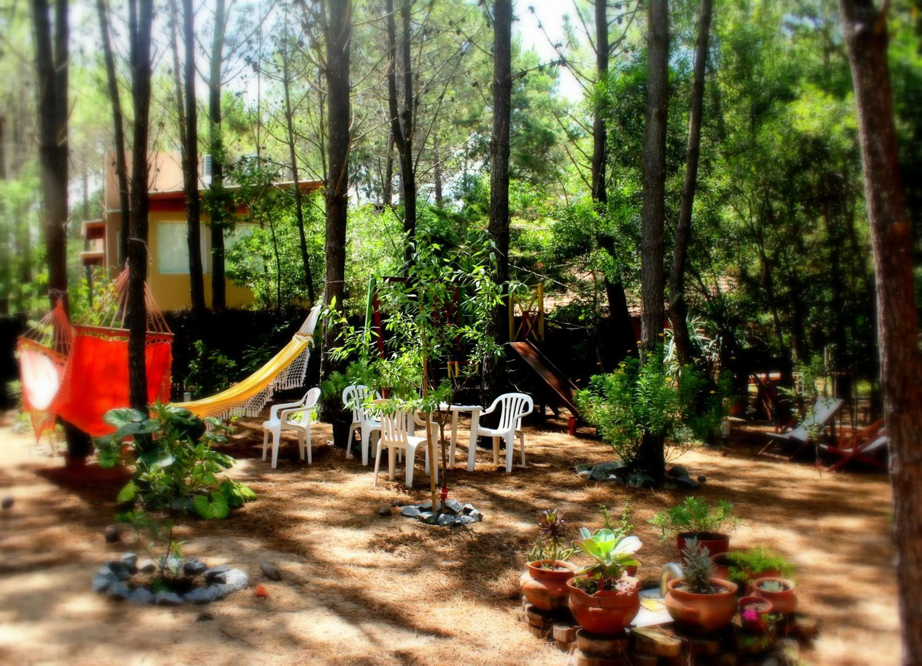 Patio in Rincón de los Vientos