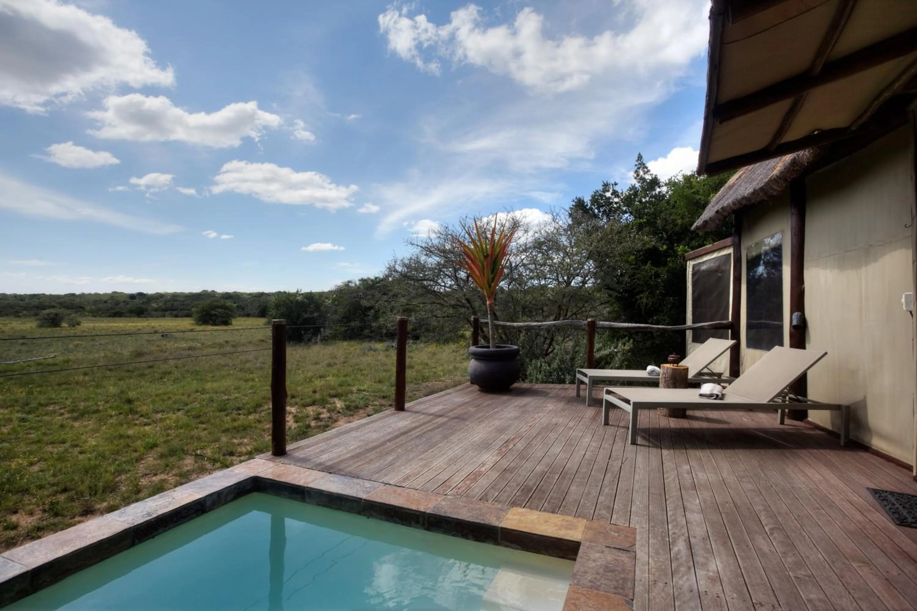Swimming pool in Bush Lodge – Amakhala Game Reserve