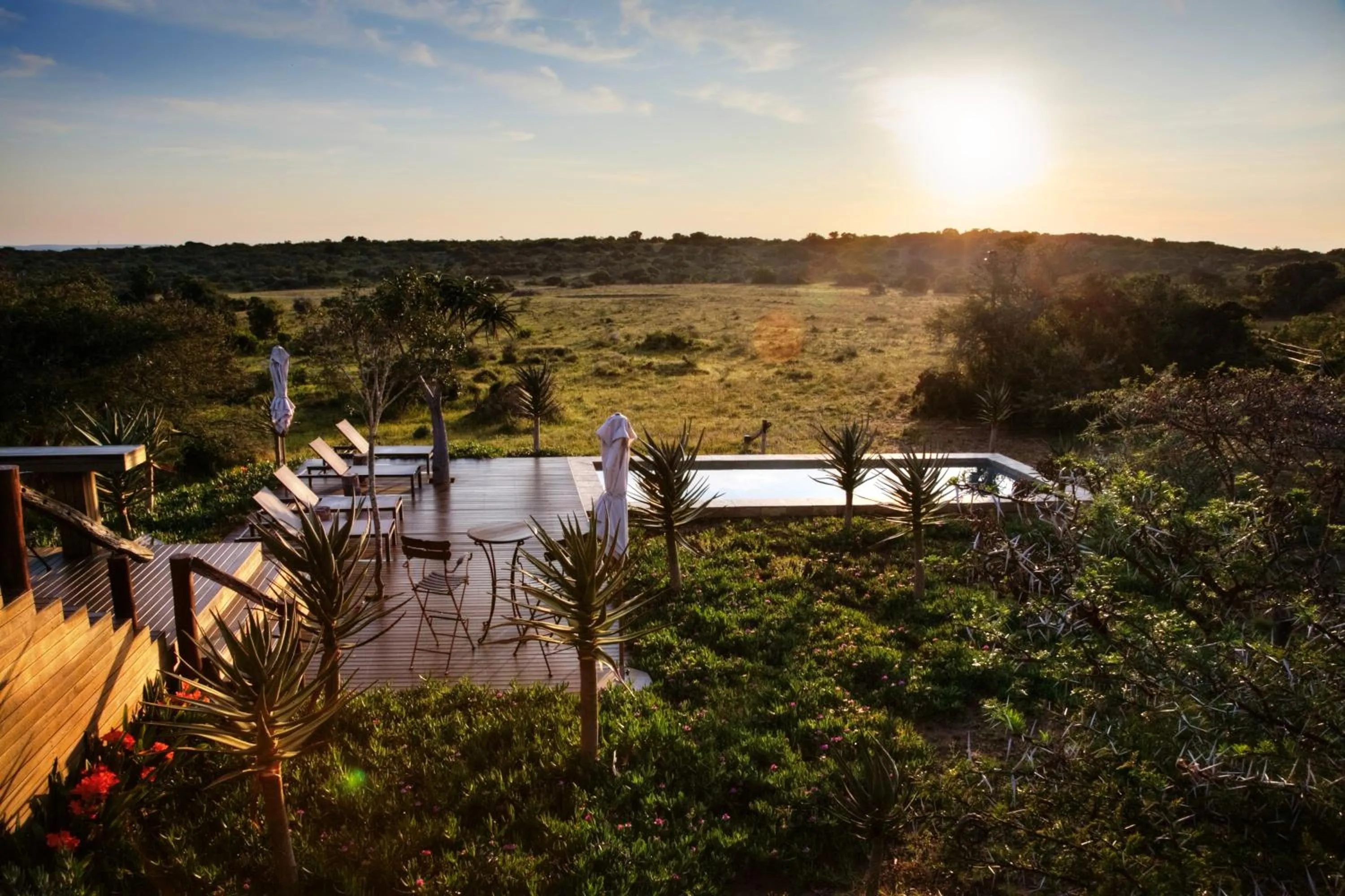 View (from property/room) in Bush Lodge – Amakhala Game Reserve