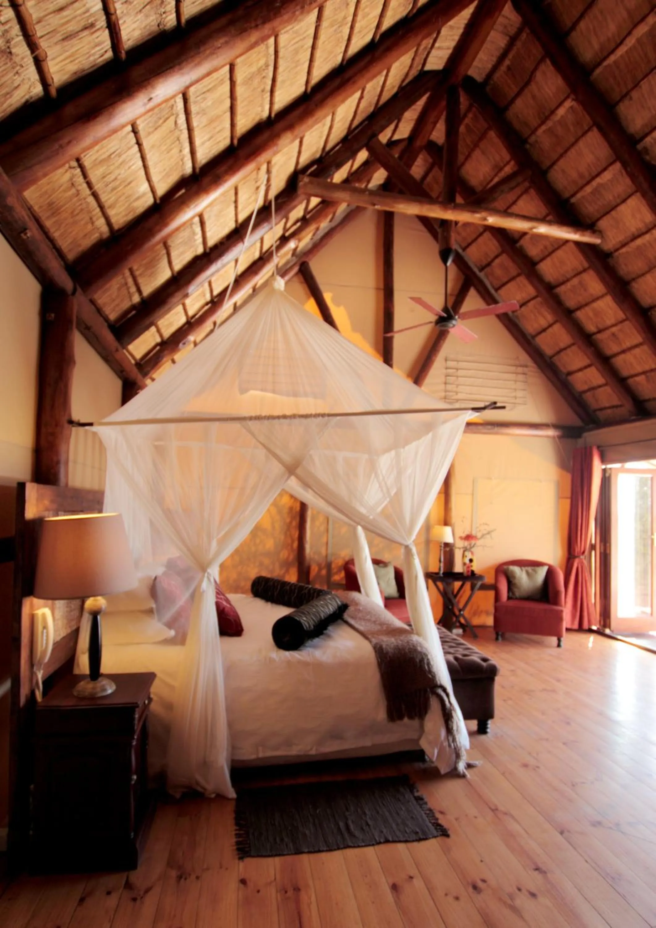 Day, Bed in Bush Lodge – Amakhala Game Reserve