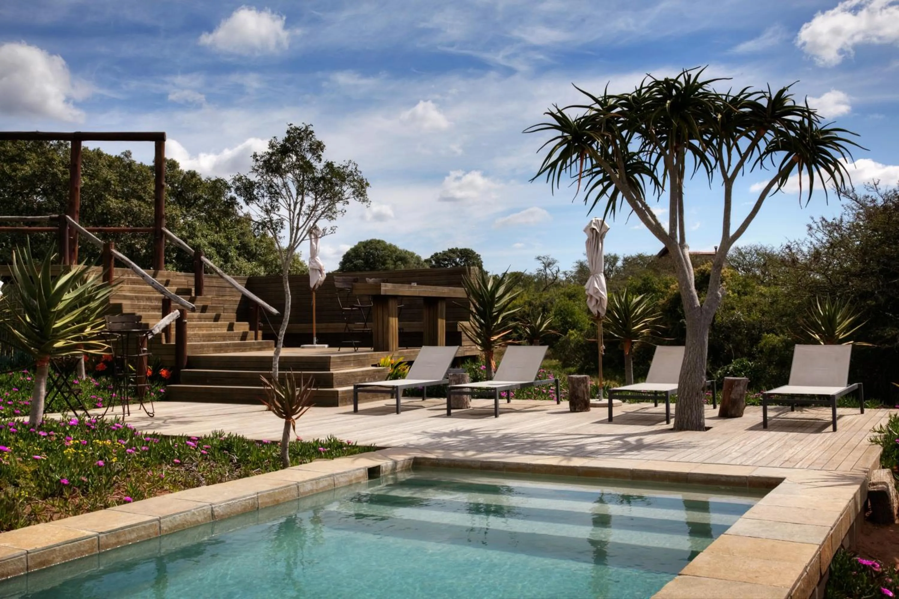 Swimming pool in Bush Lodge – Amakhala Game Reserve