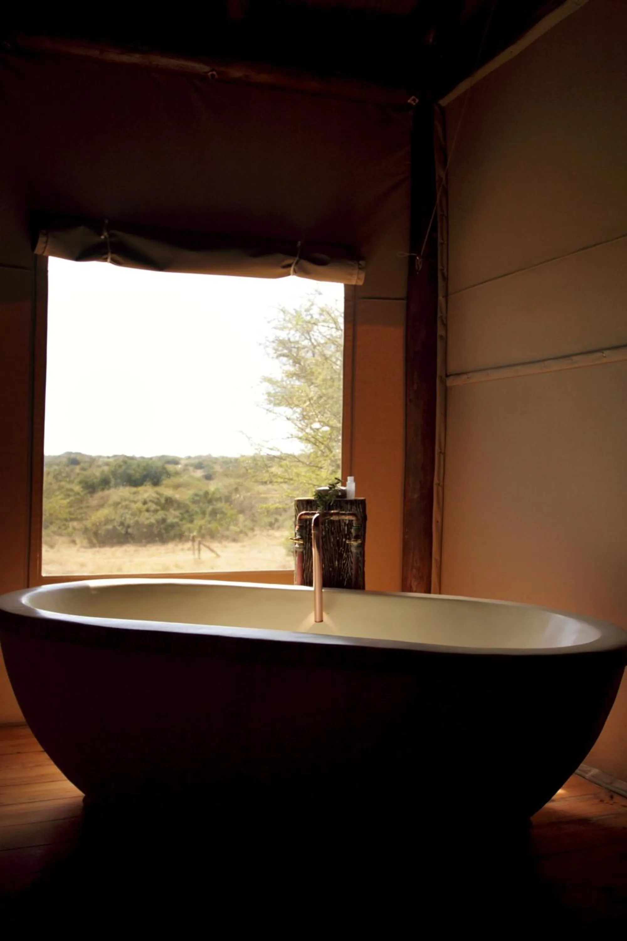 Day in Bush Lodge – Amakhala Game Reserve