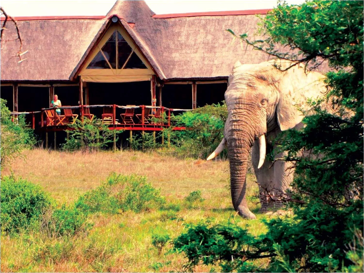 Property building in Bush Lodge – Amakhala Game Reserve