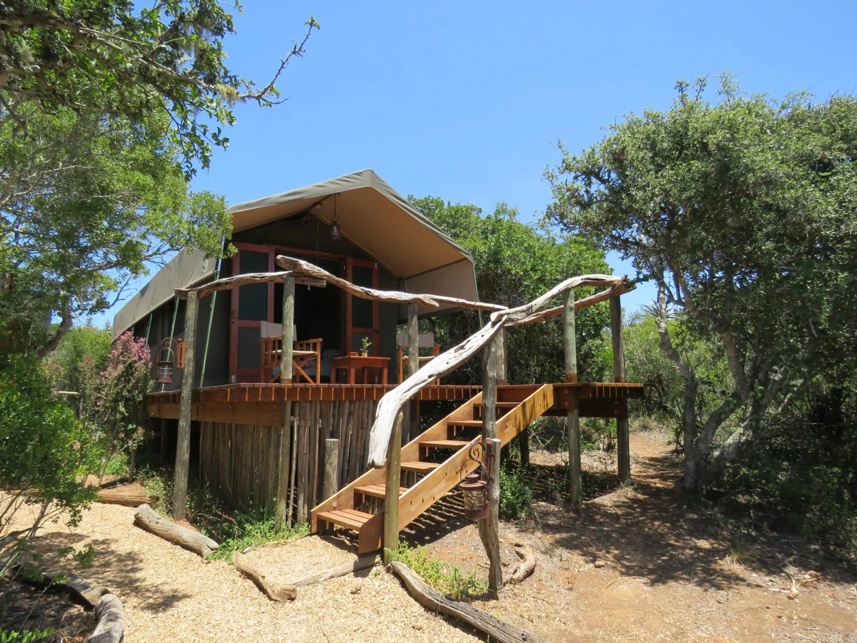 Balcony/Terrace in Woodbury Tented Camp – Amakhala Game Reserve
