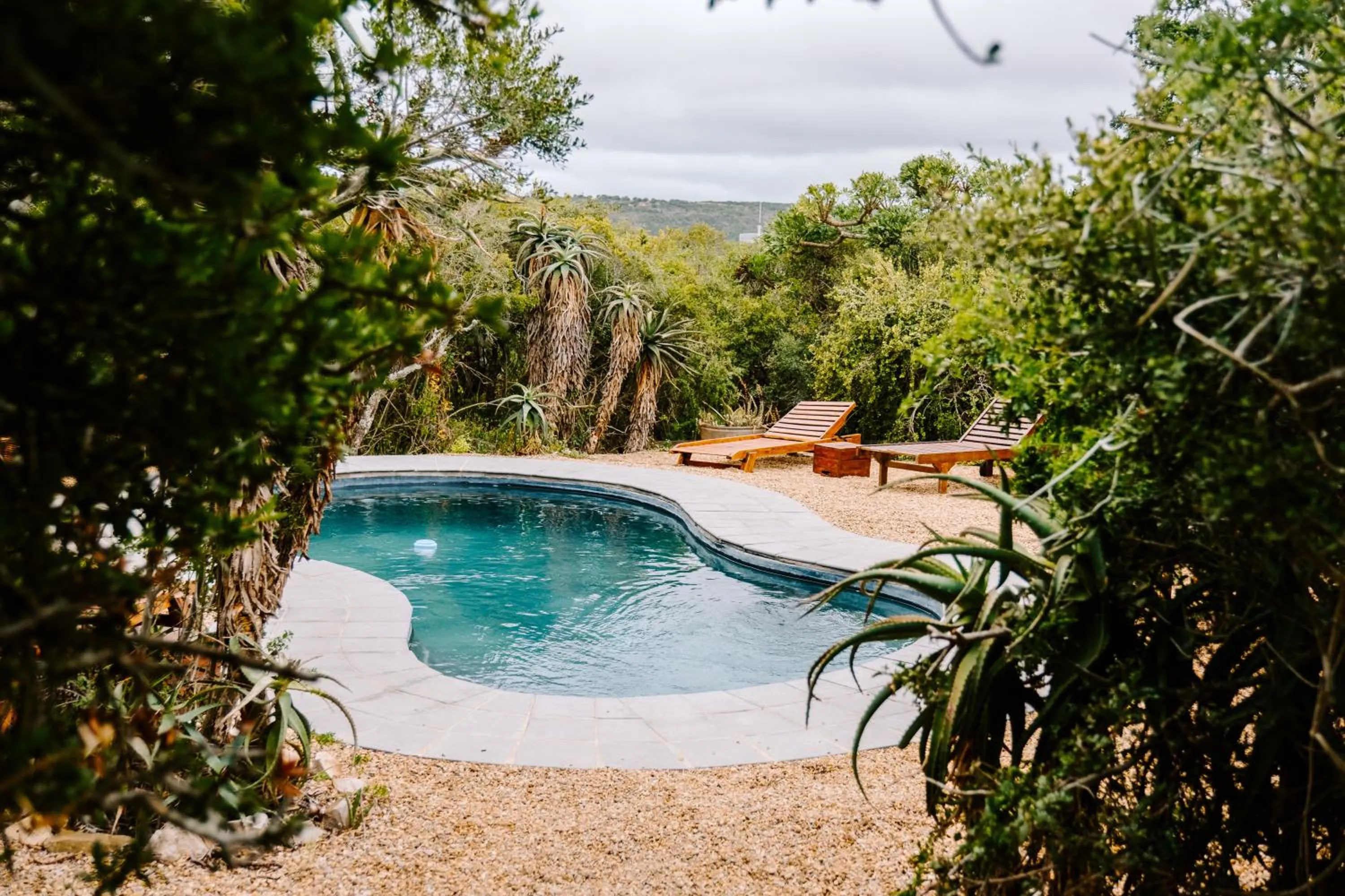 Swimming pool in Woodbury Tented Camp – Amakhala Game Reserve