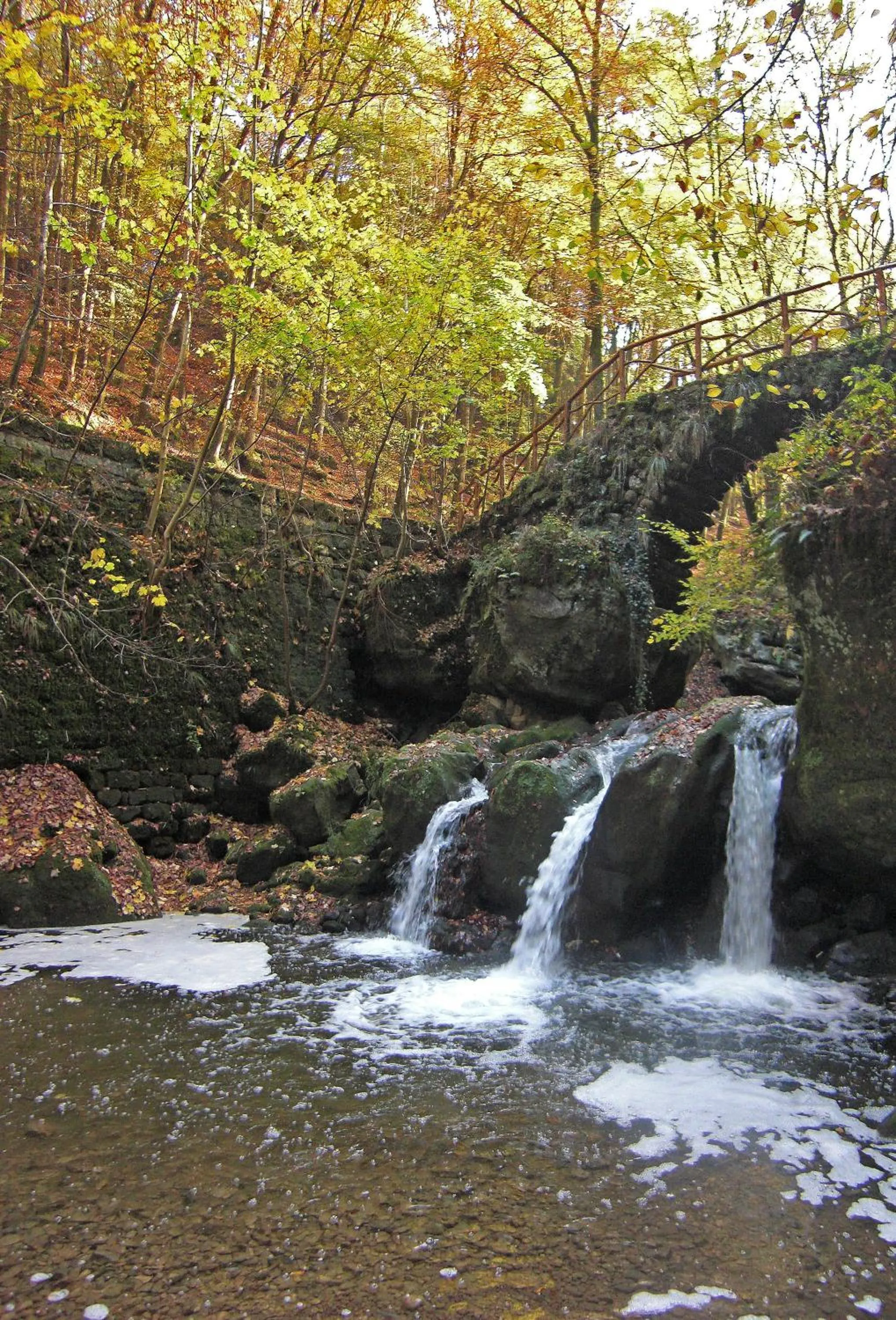 Natural landscape in Hotel Hauer