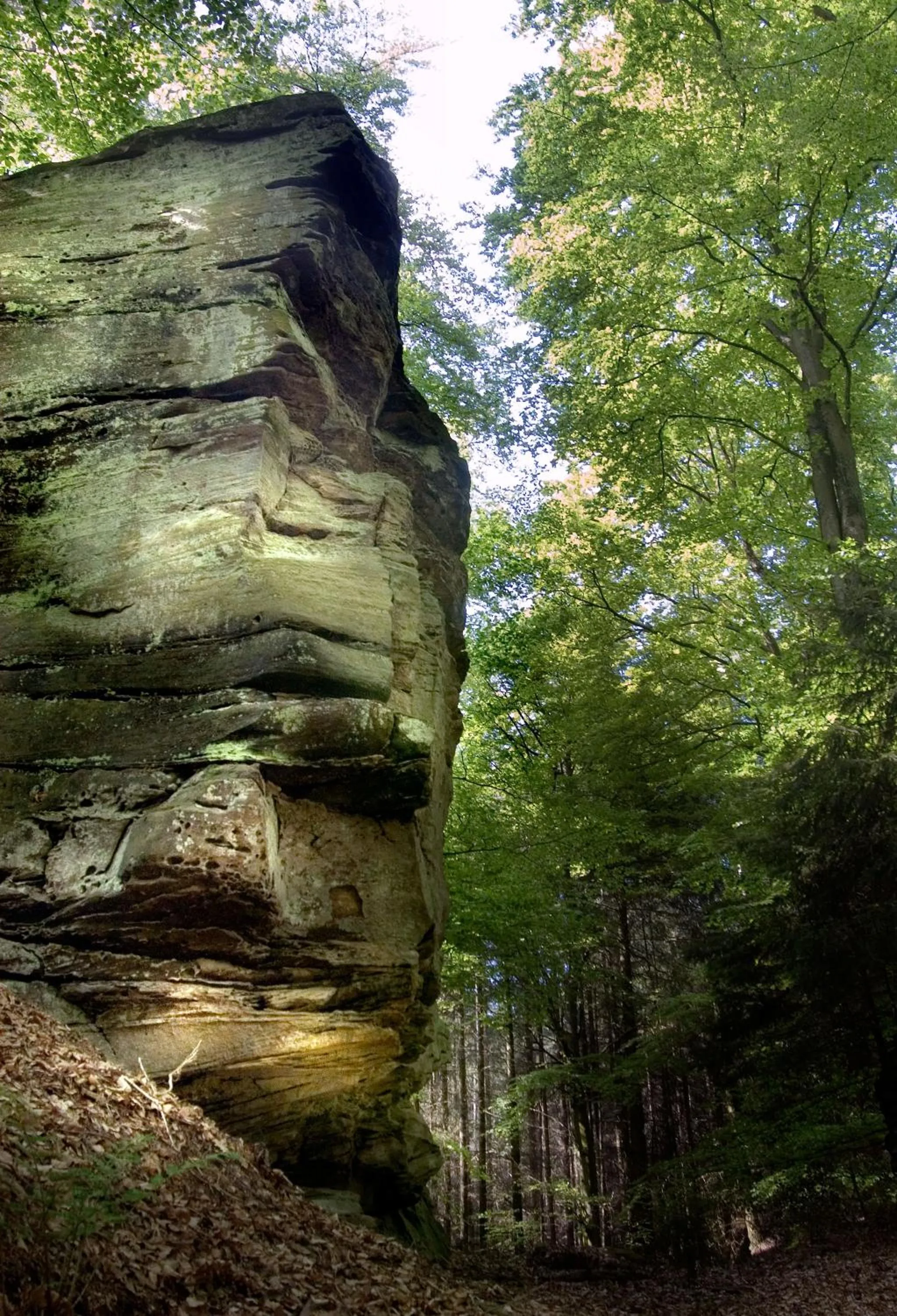 Natural landscape in Hotel Hauer